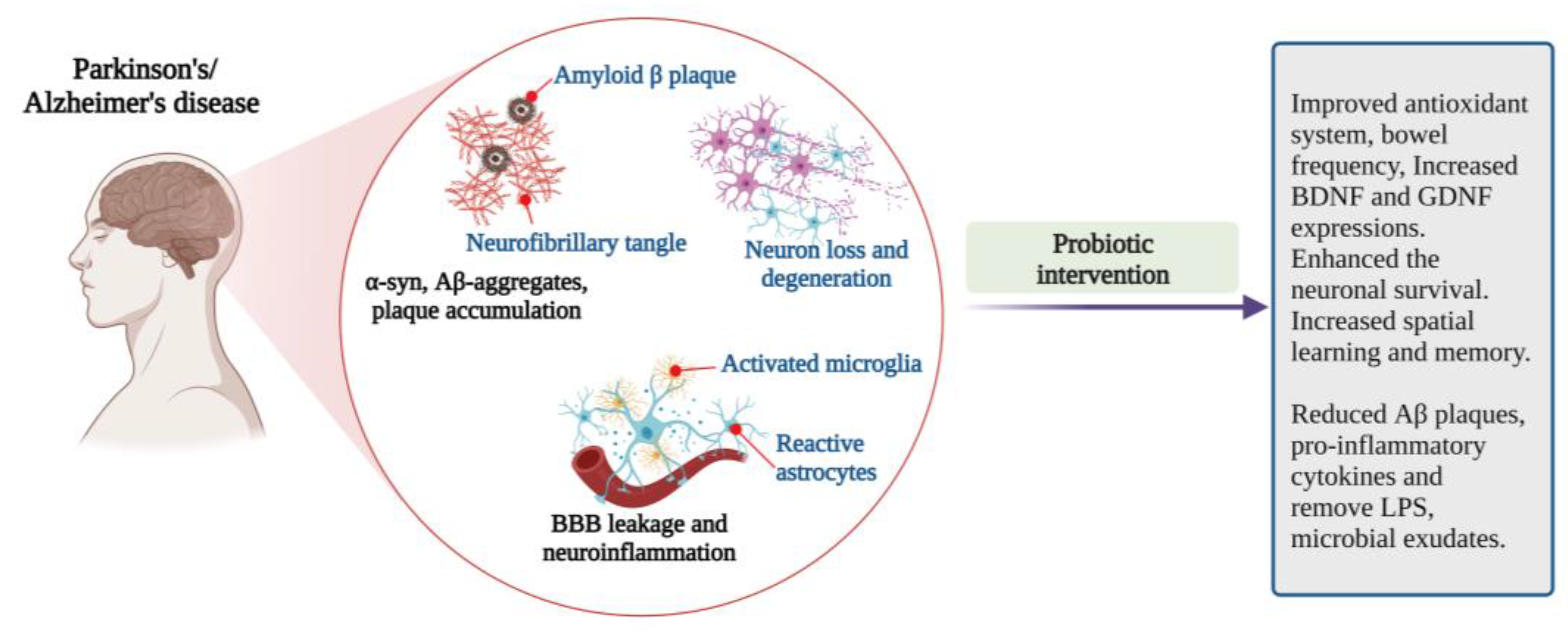 Microorganisms 10 02268 g004
