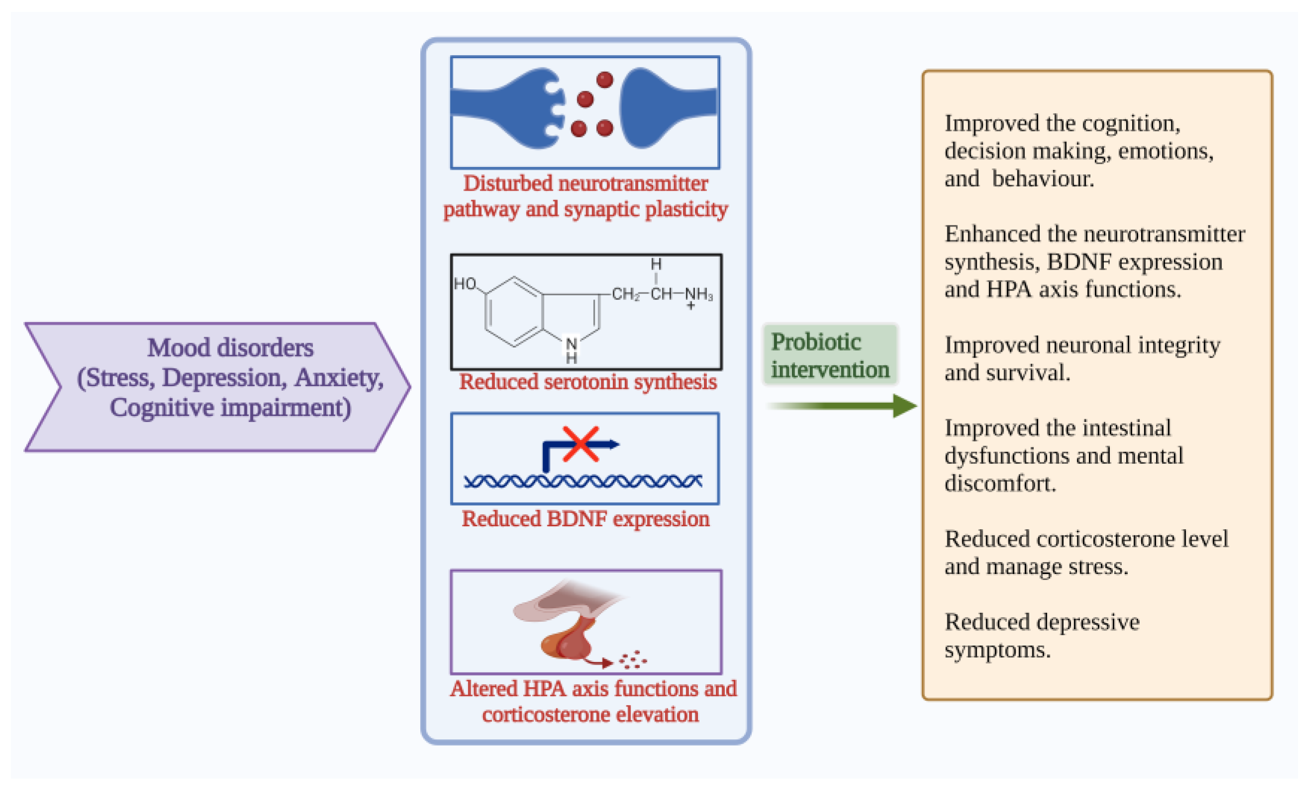 Microorganisms 10 02268 g005