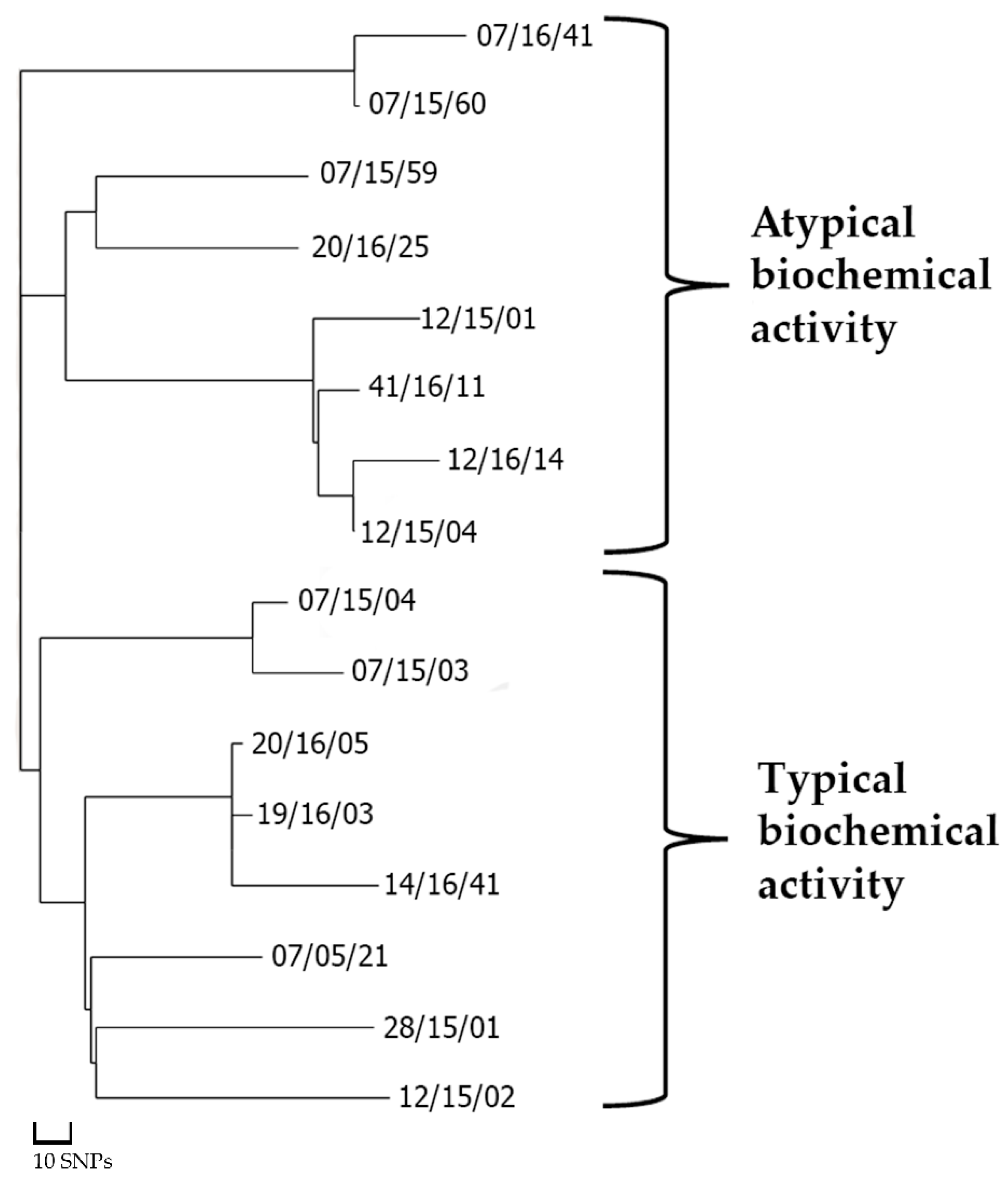 Microorganisms 10 02271 g001