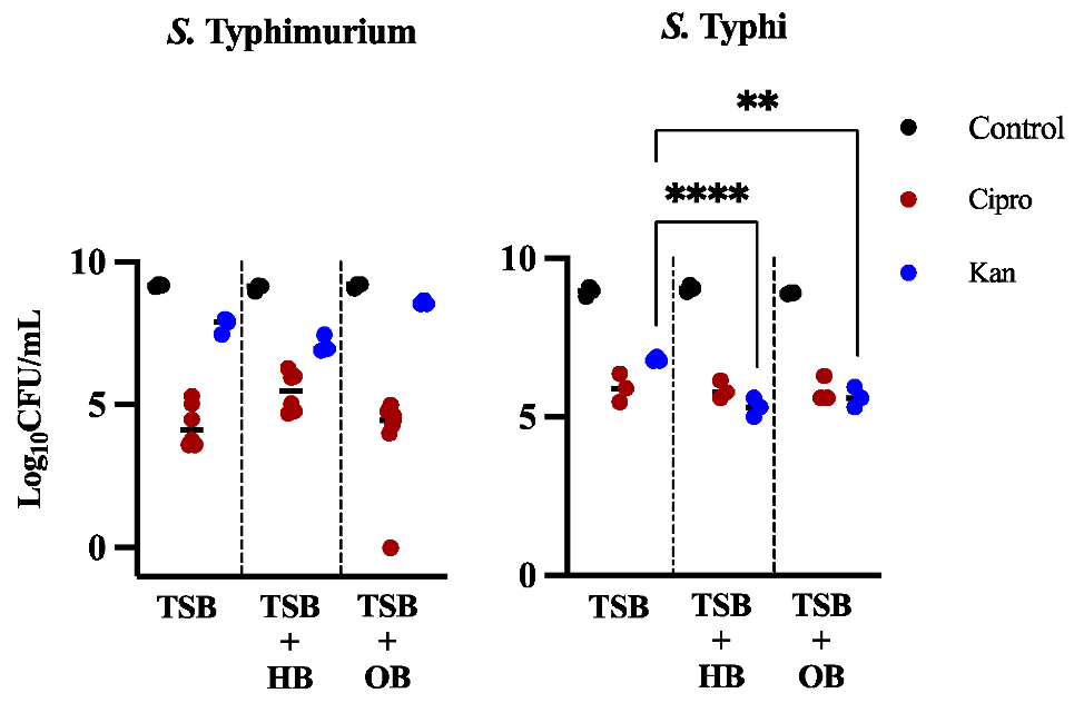 Microorganisms 10 02276 g001 Microorganisms 10 02276 g001