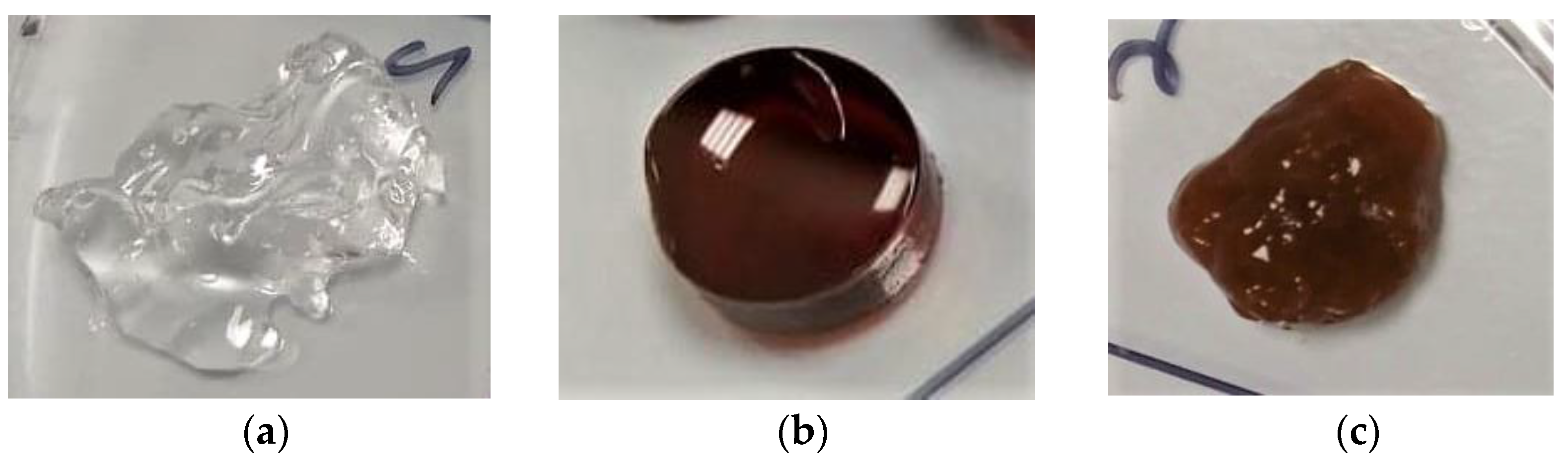 Microorganisms 10 02279 g003