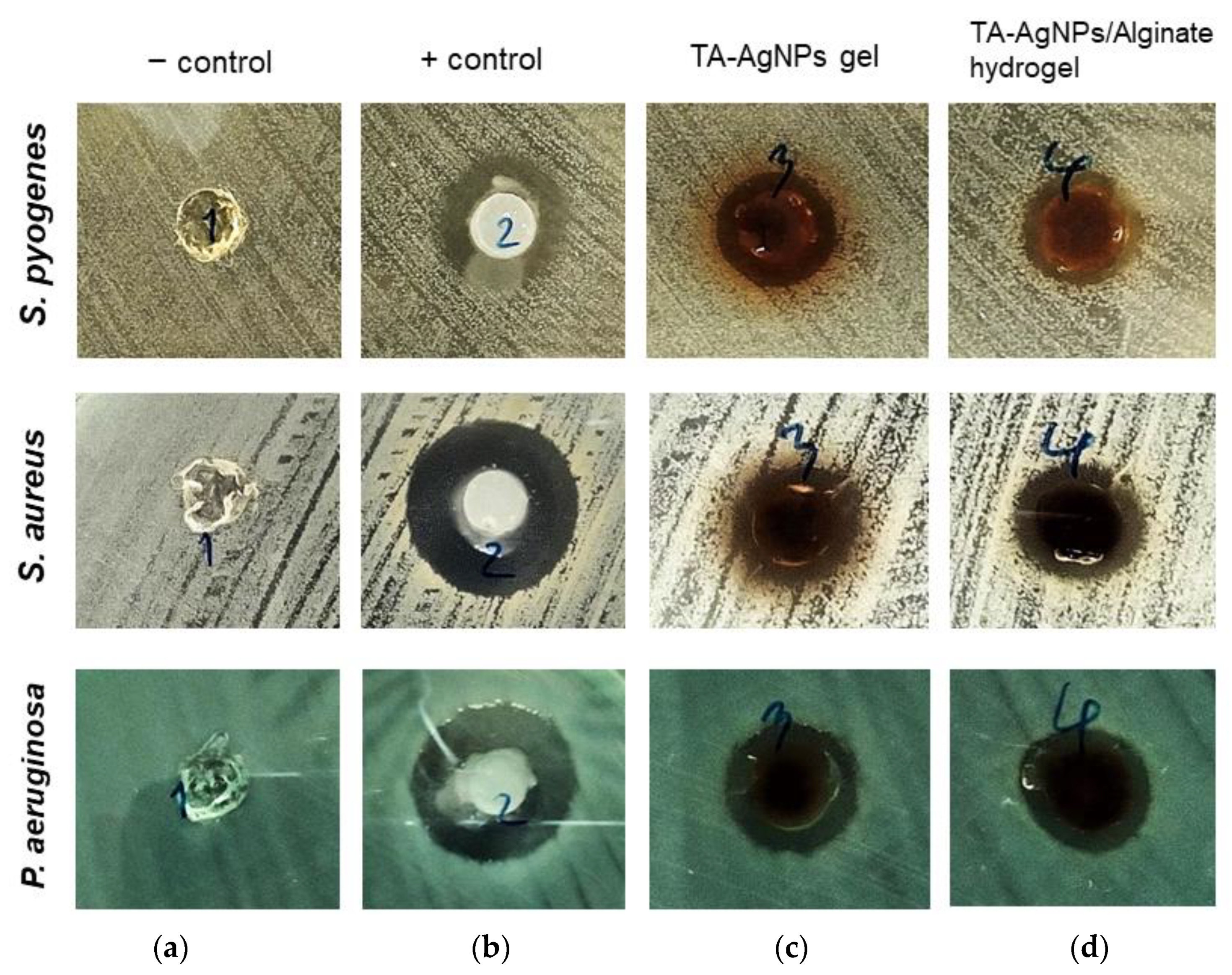 Microorganisms 10 02279 g004