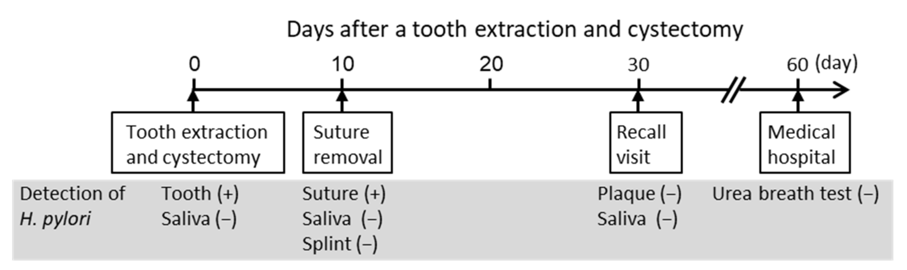 Microorganisms 10 02285 g005