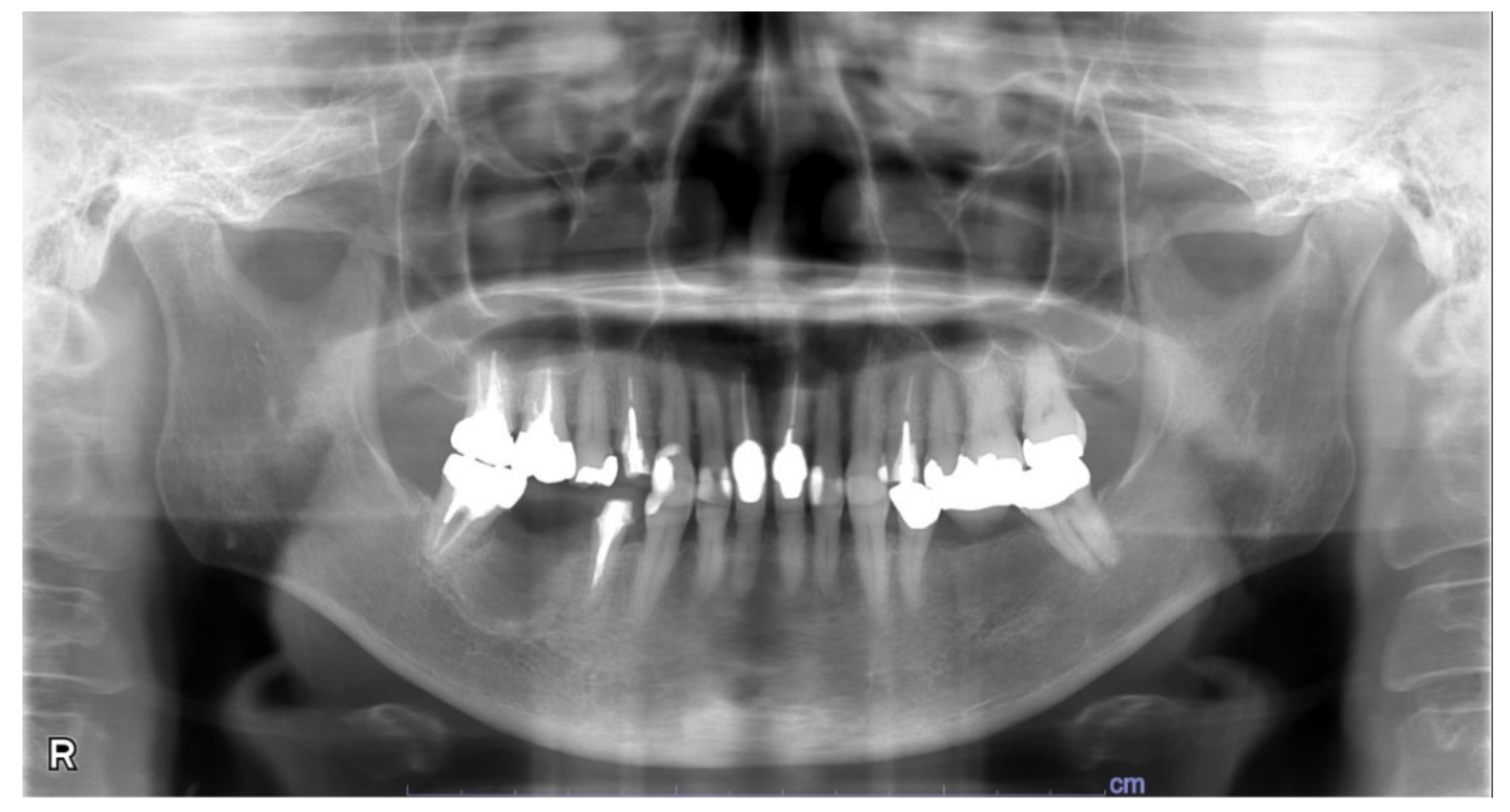 Microorganisms 10 02285 g007