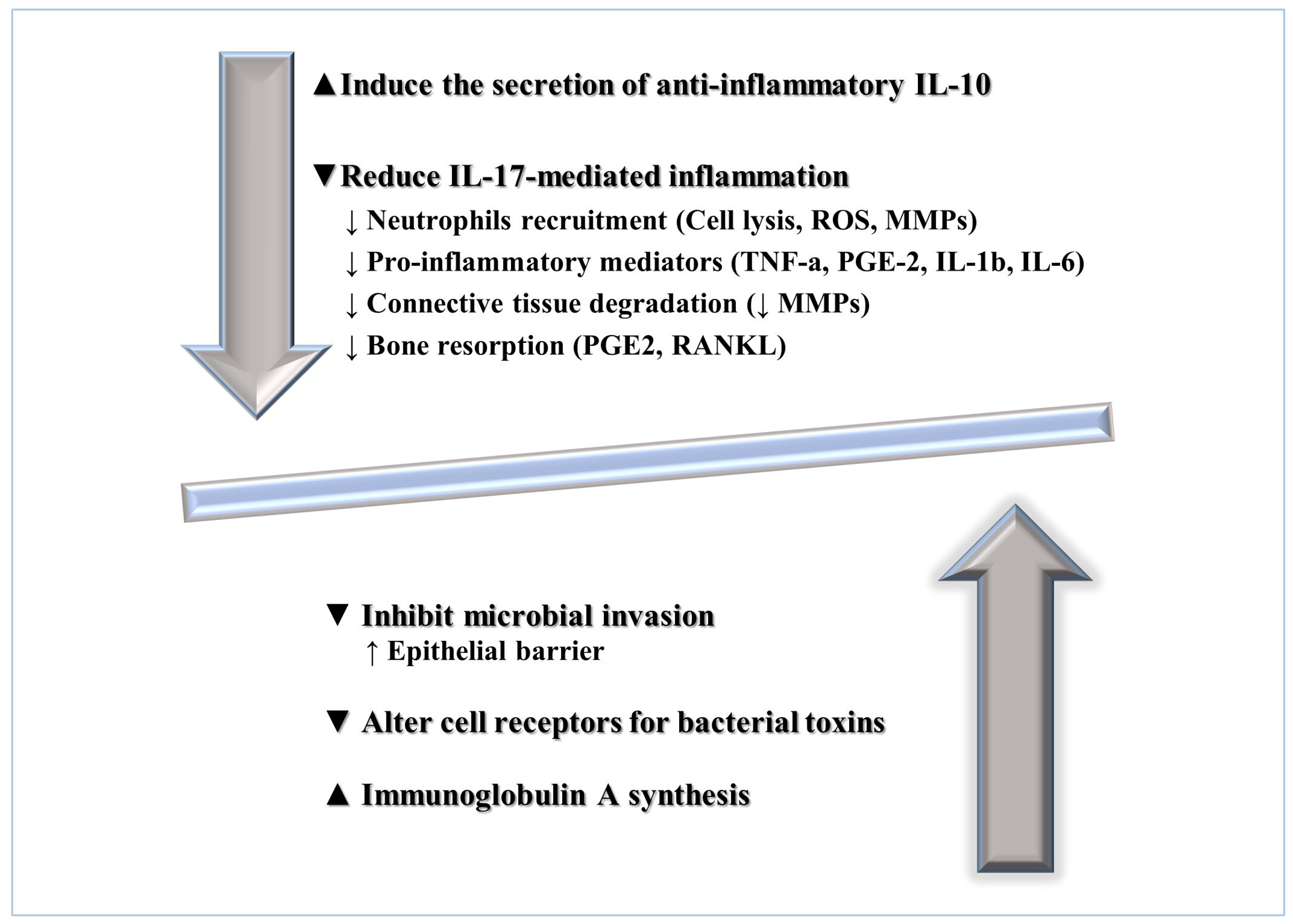 Microorganisms 10 02289 g002