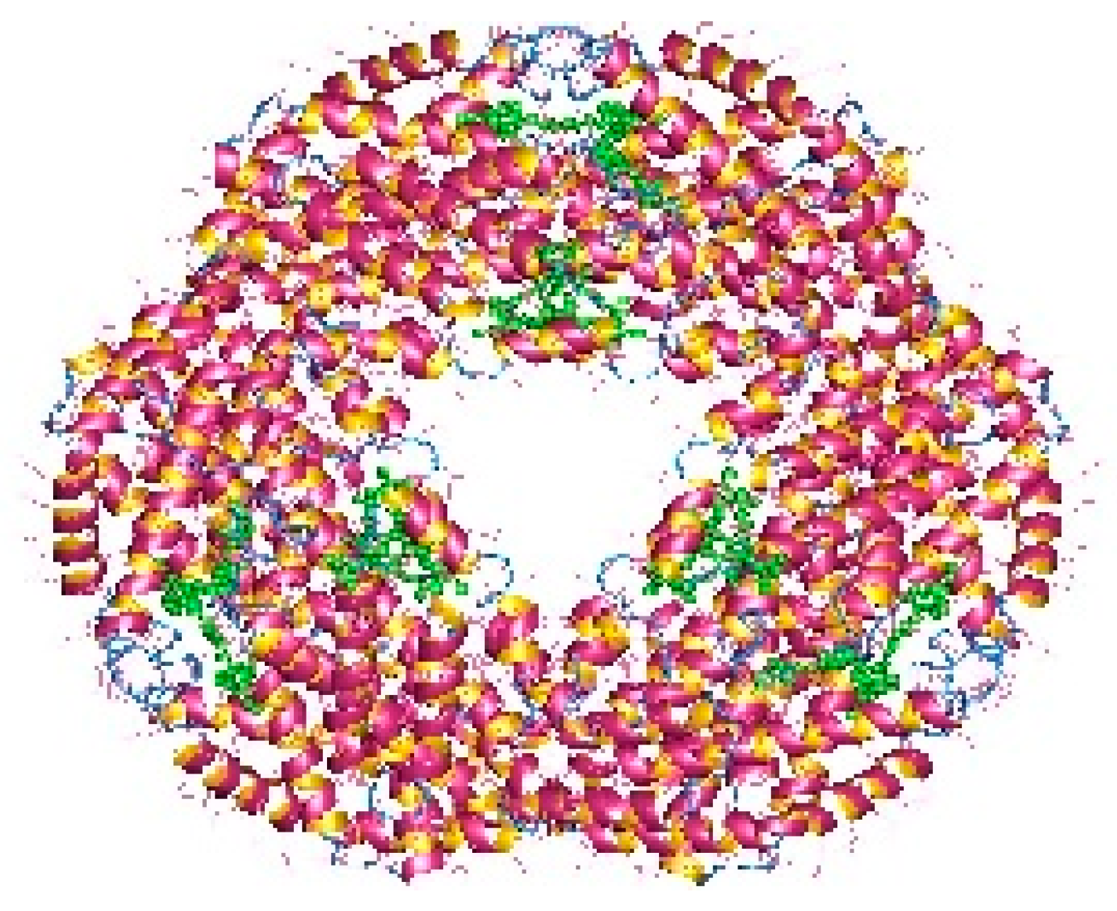 Microorganisms 10 02290 g004