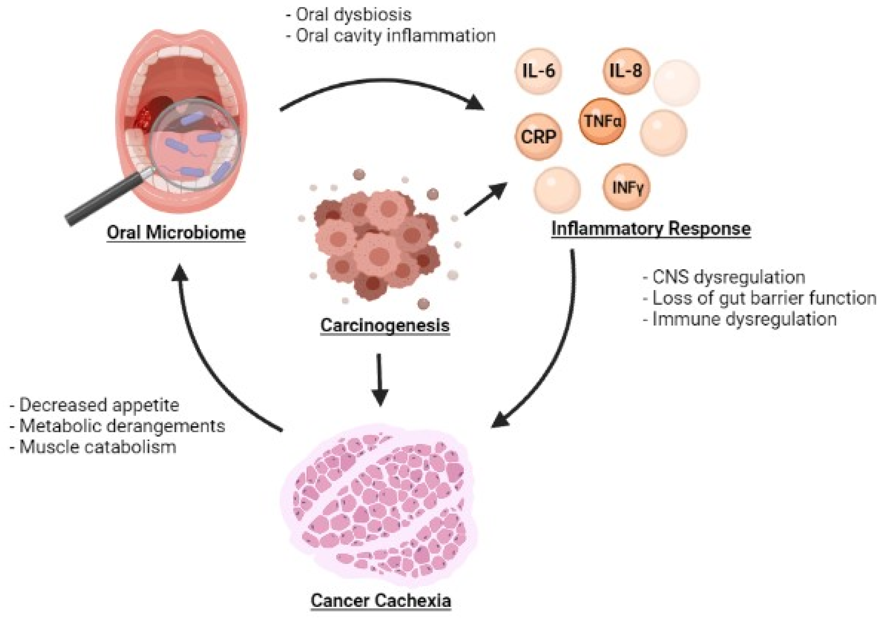 Microorganisms 10 02291 g001 Microorganisms 10 02291 g001