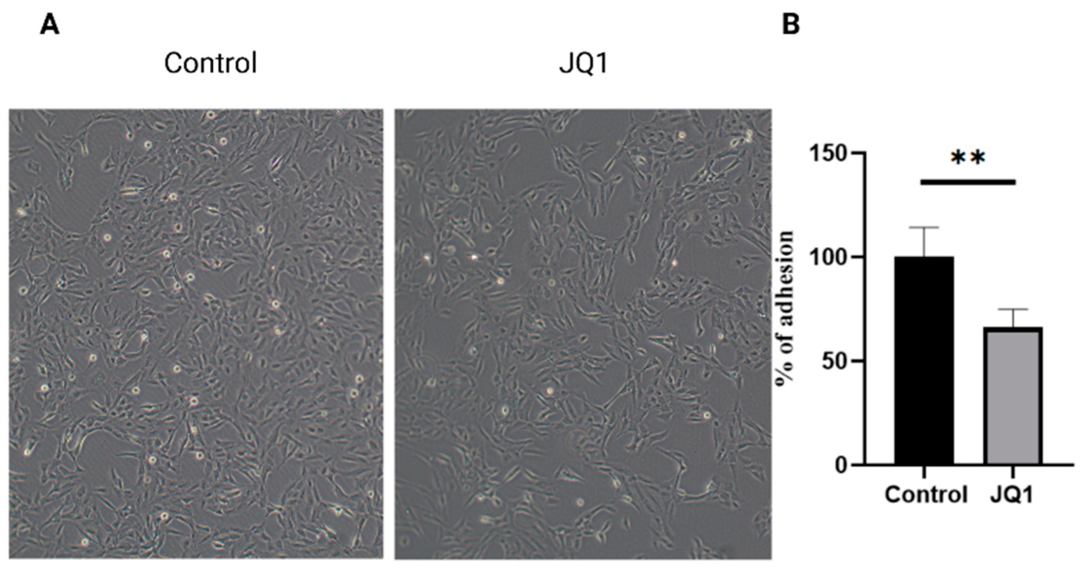 Microorganisms 10 02292 g003