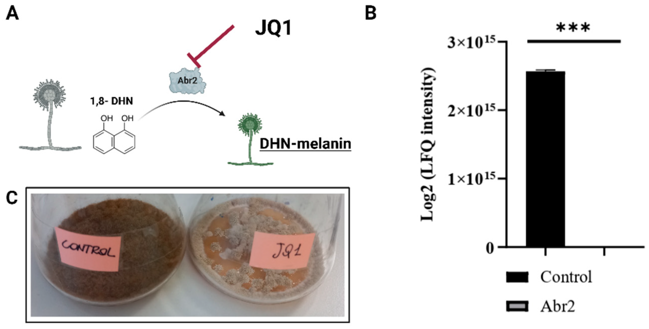 Microorganisms 10 02292 g006