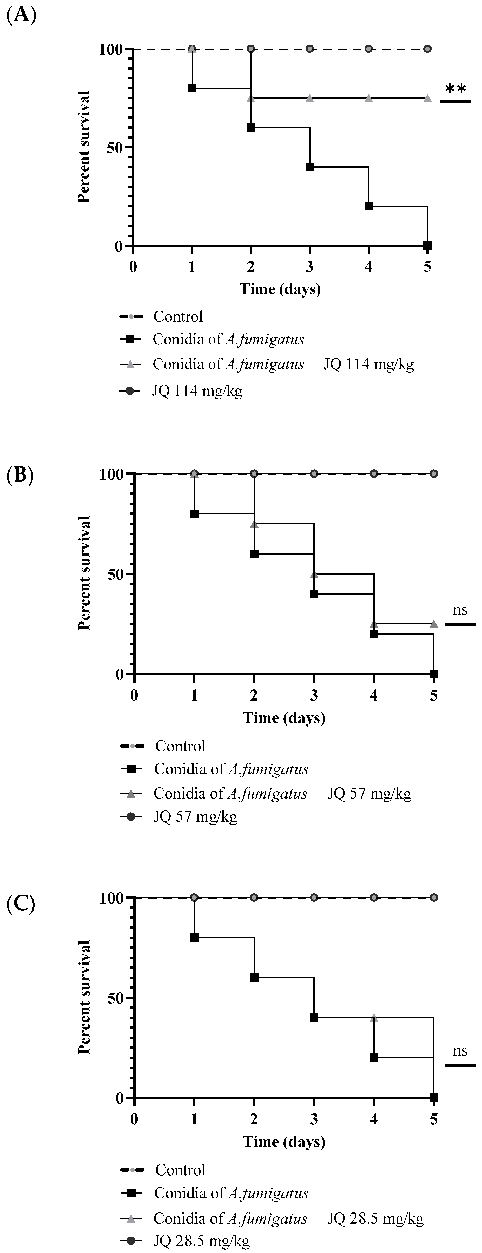 Microorganisms 10 02292 g008