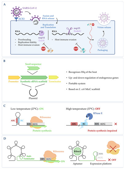 Microorganisms 10 02303 g002