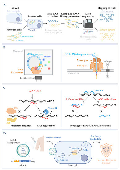 Microorganisms 10 02303 g004