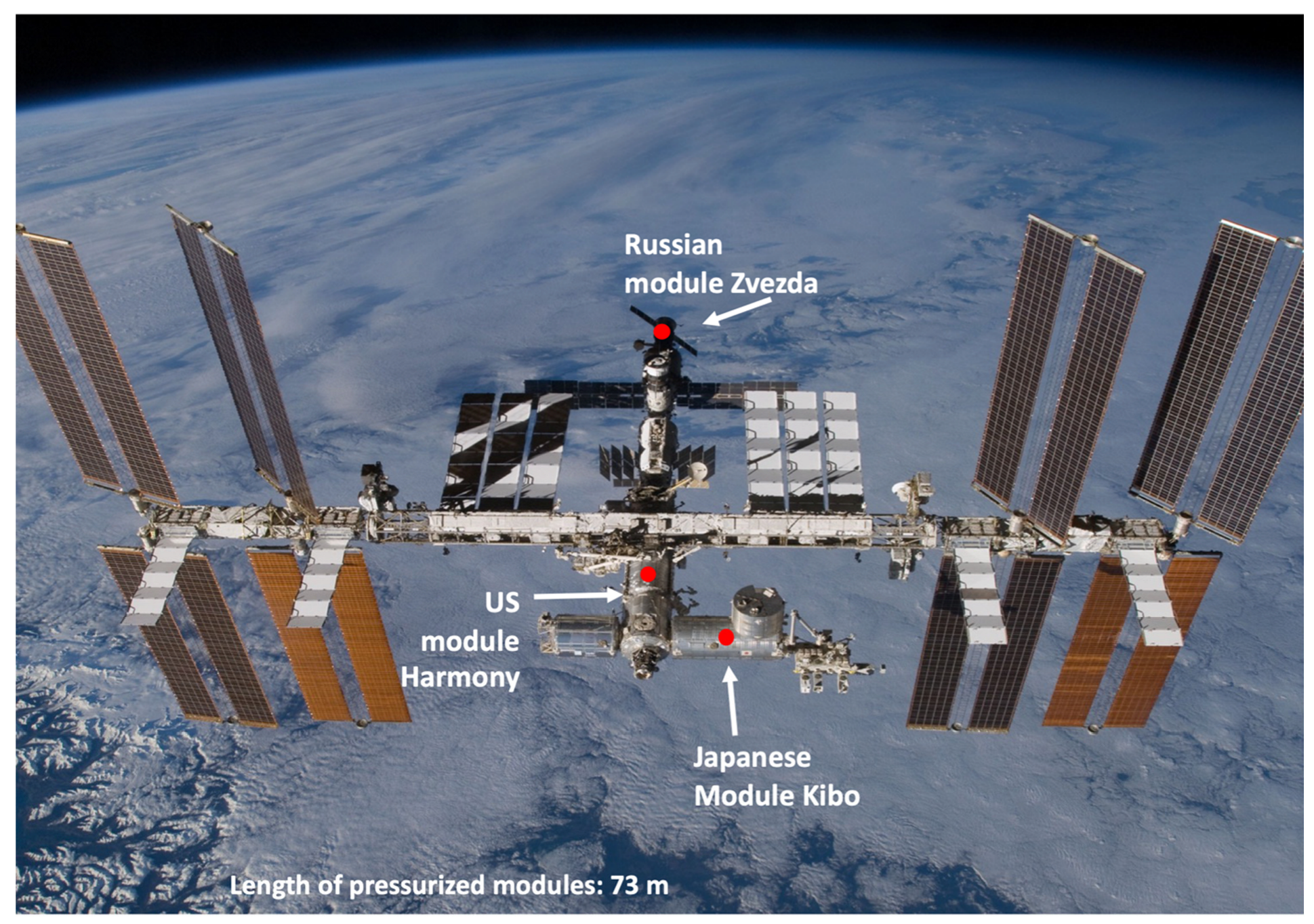 Microorganisms 10 02309 g001 Microorganisms 10 02309 g001