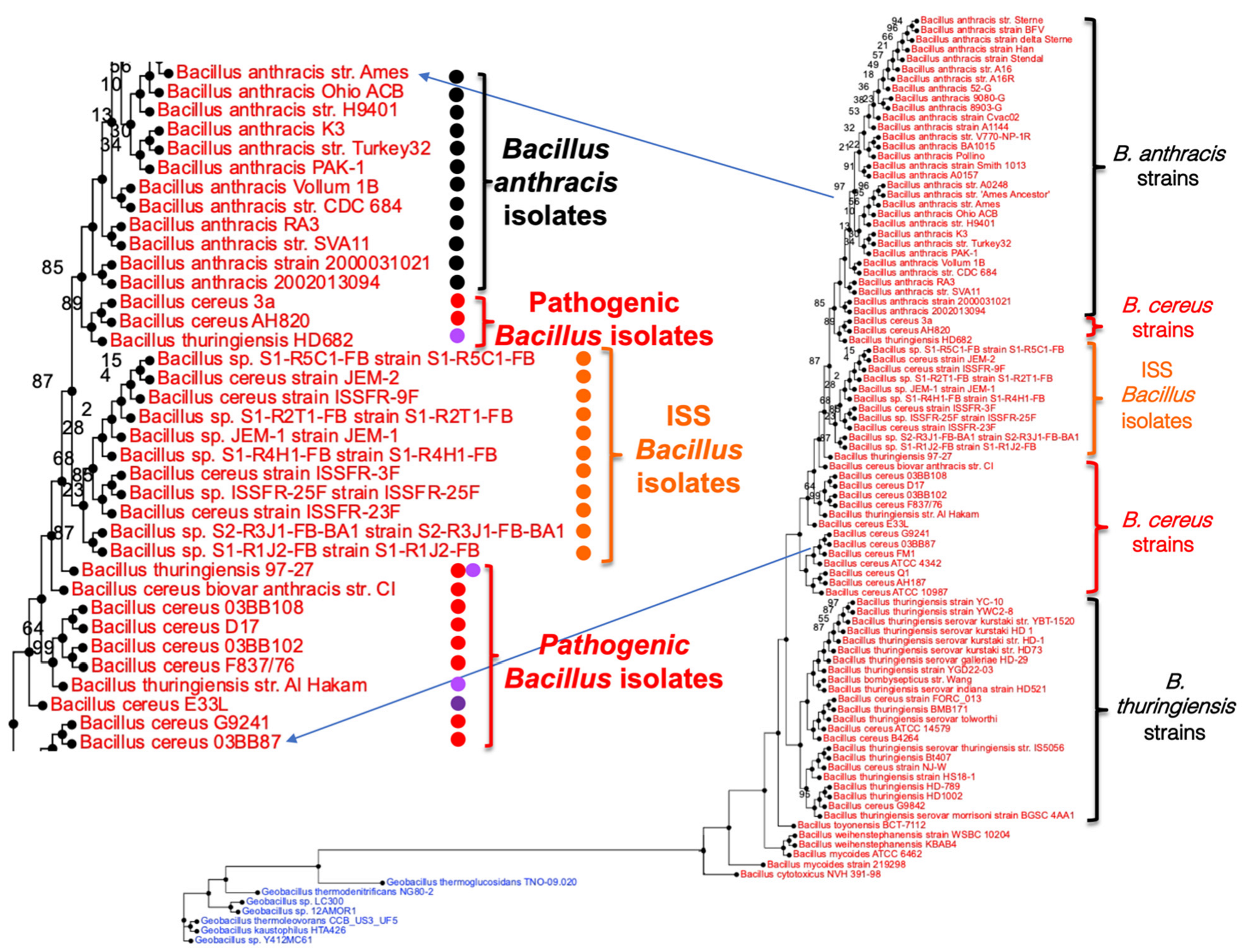 Microorganisms 10 02309 g002 Microorganisms 10 02309 g002