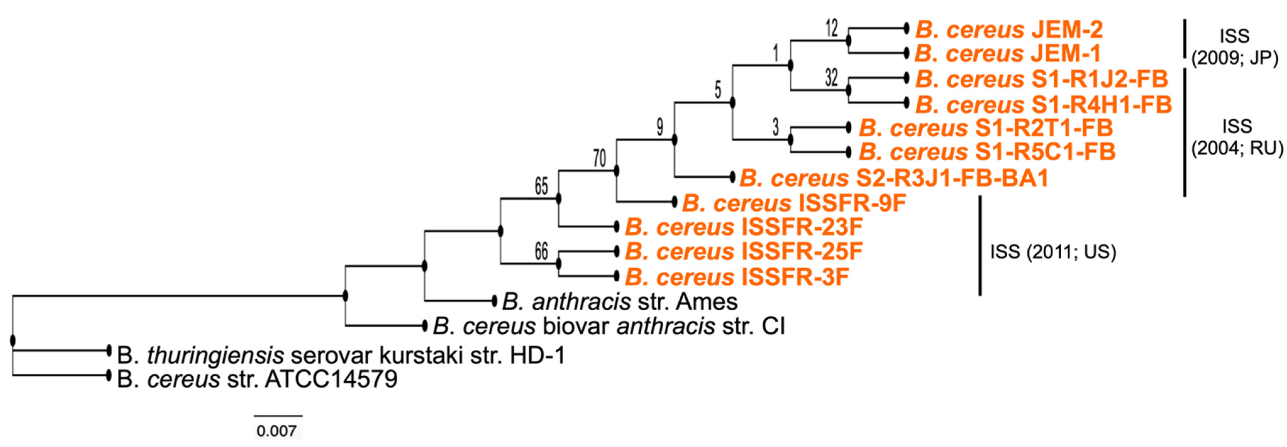 Microorganisms 10 02309 g003 Microorganisms 10 02309 g003