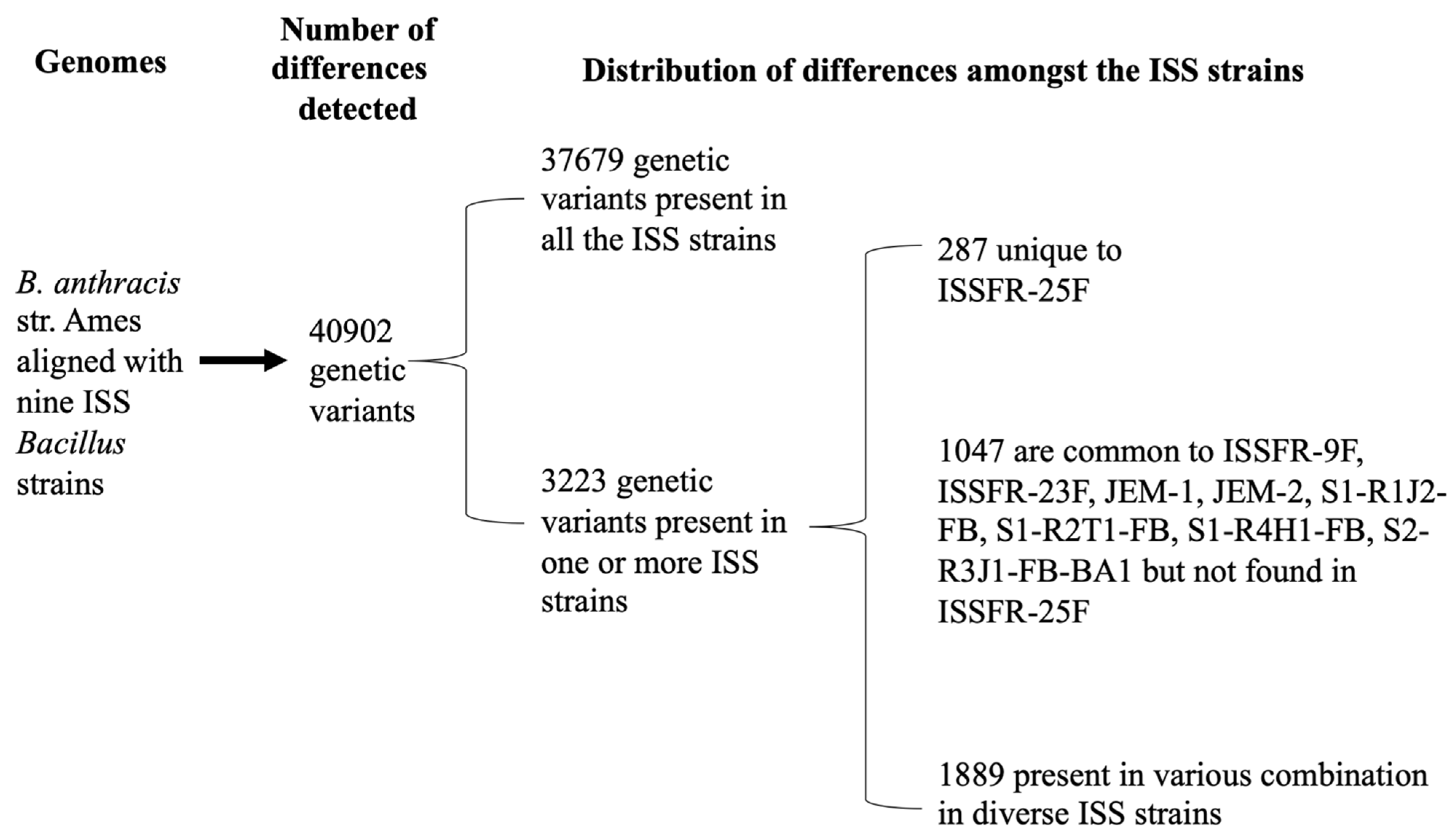 Microorganisms 10 02309 g004 Microorganisms 10 02309 g004