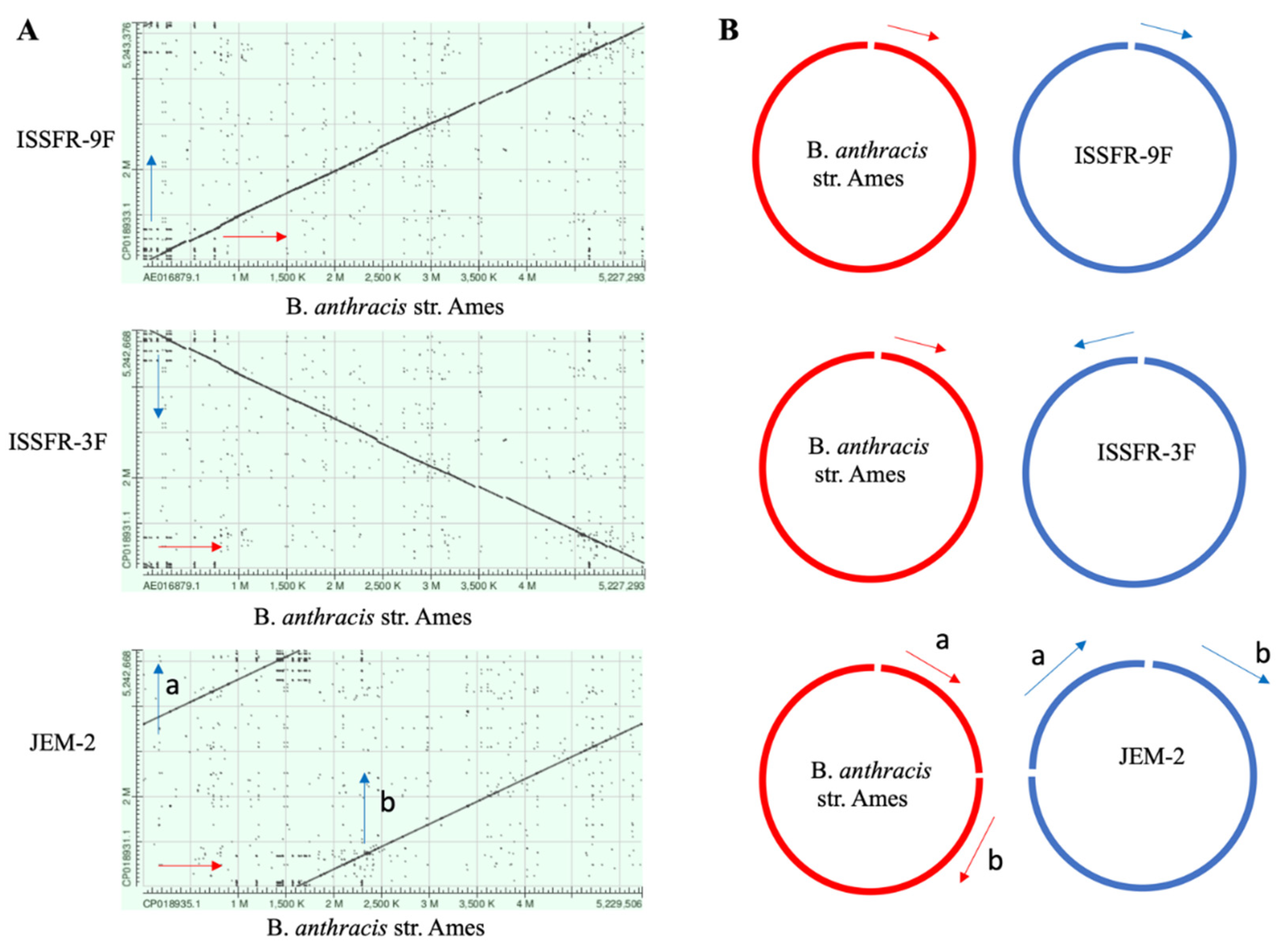 Microorganisms 10 02309 g006 Microorganisms 10 02309 g006
