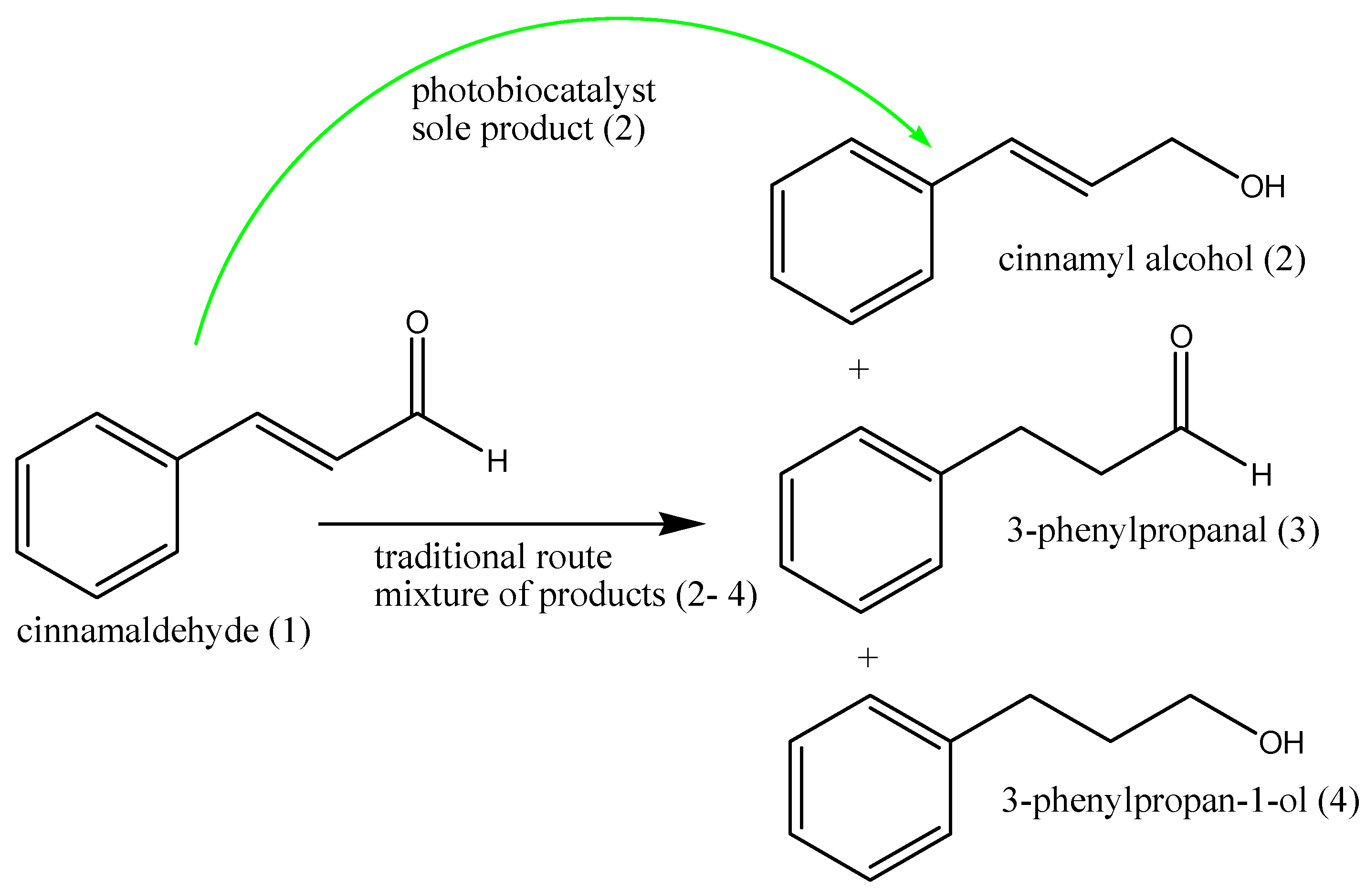 Microorganisms 10 02318 sch001