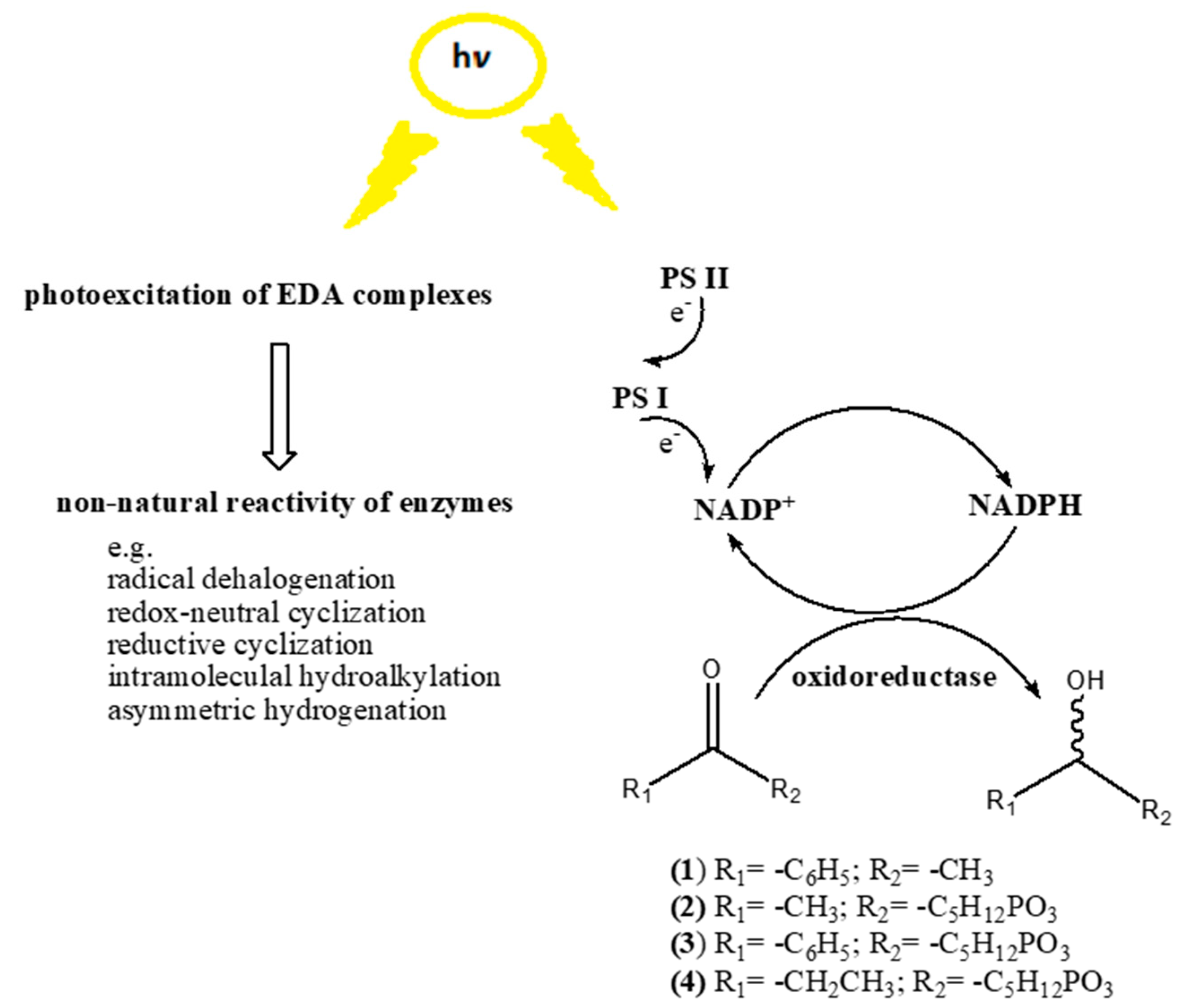 Microorganisms 10 02318 sch002