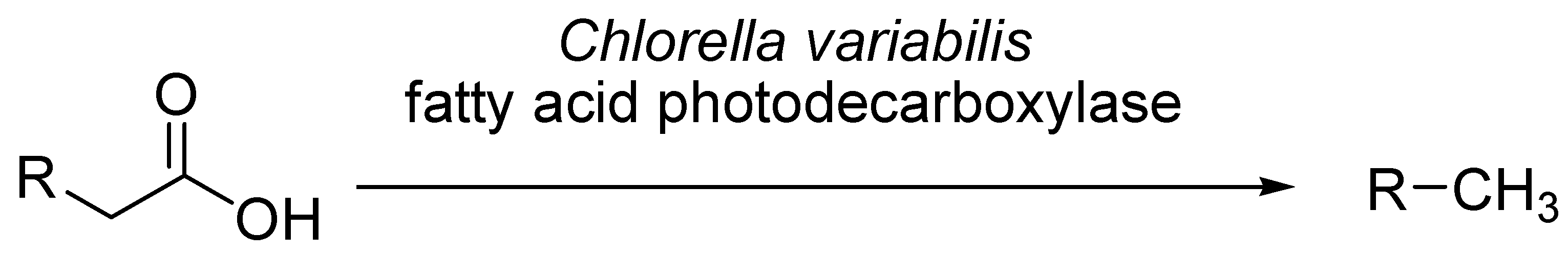 Microorganisms 10 02318 sch003