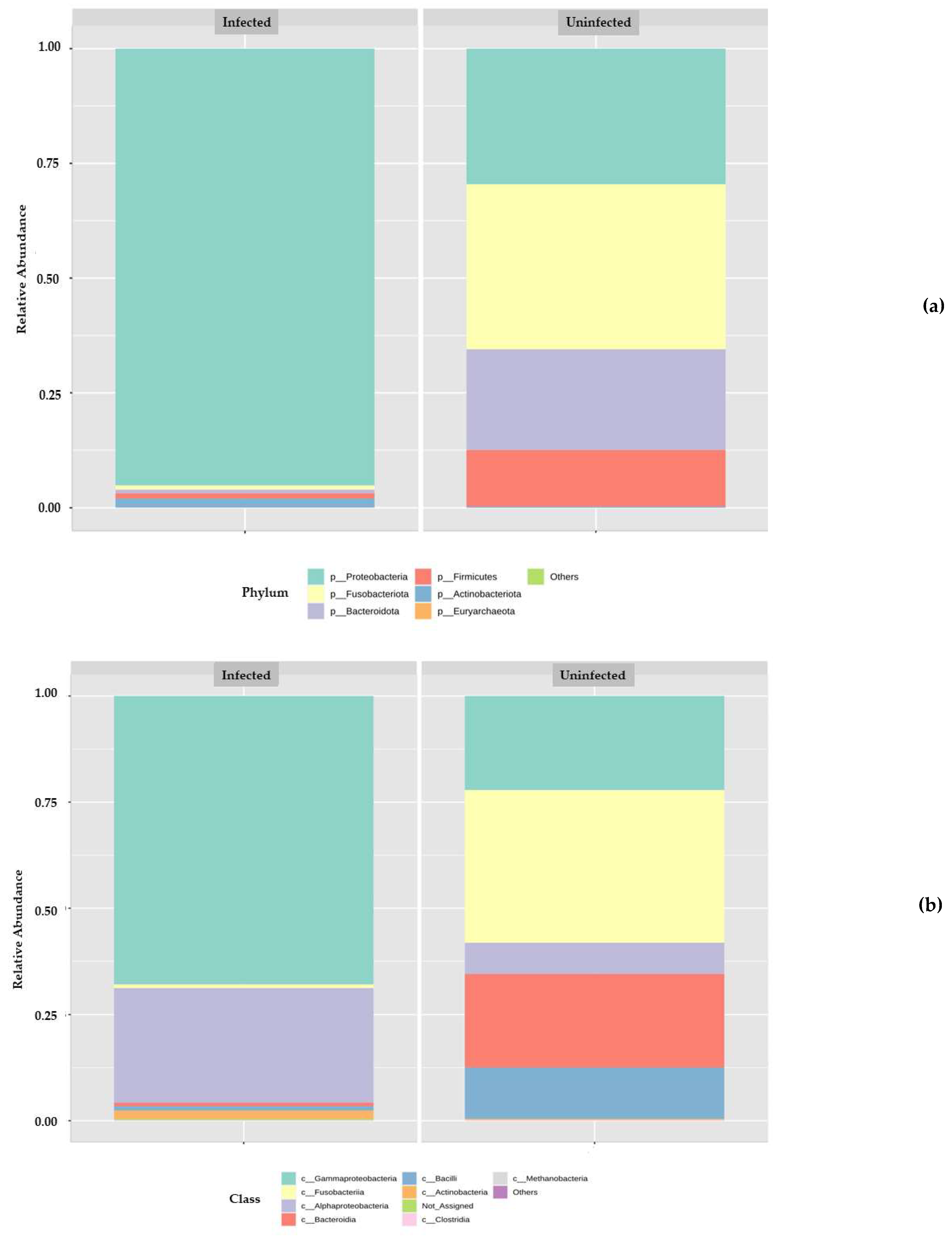 Microorganisms 10 02328 g002a