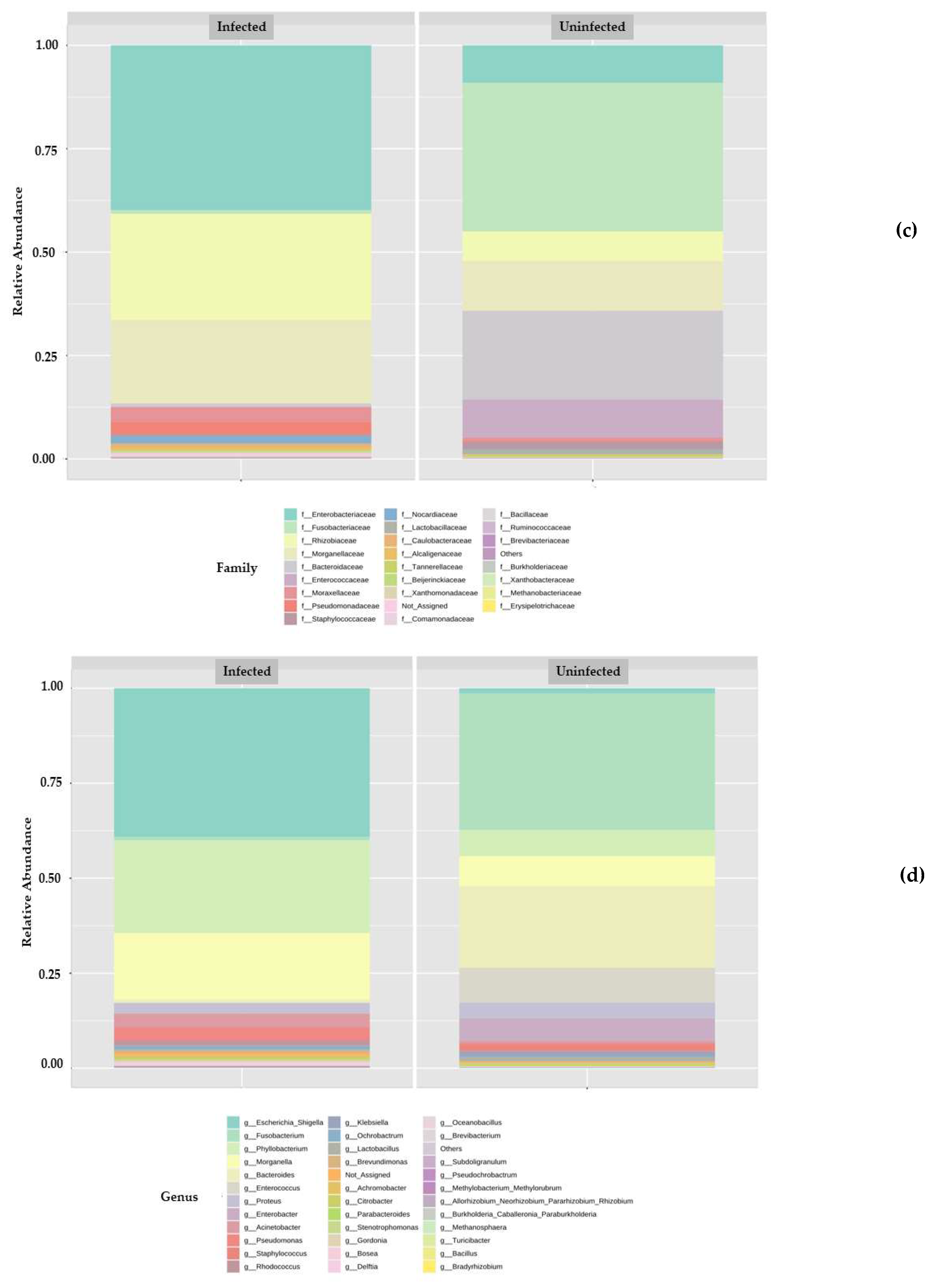 Microorganisms 10 02328 g002b