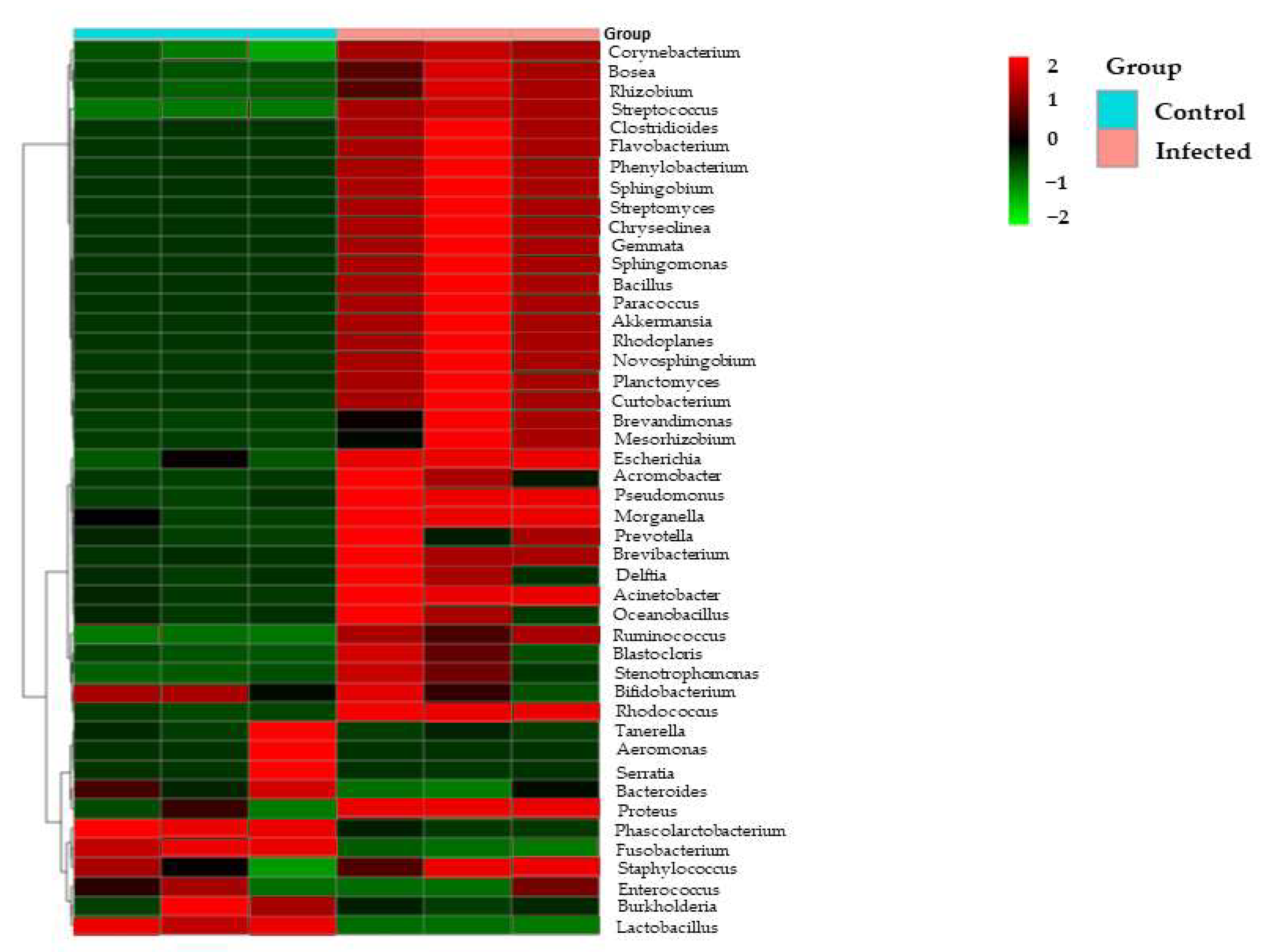 Microorganisms 10 02328 g003