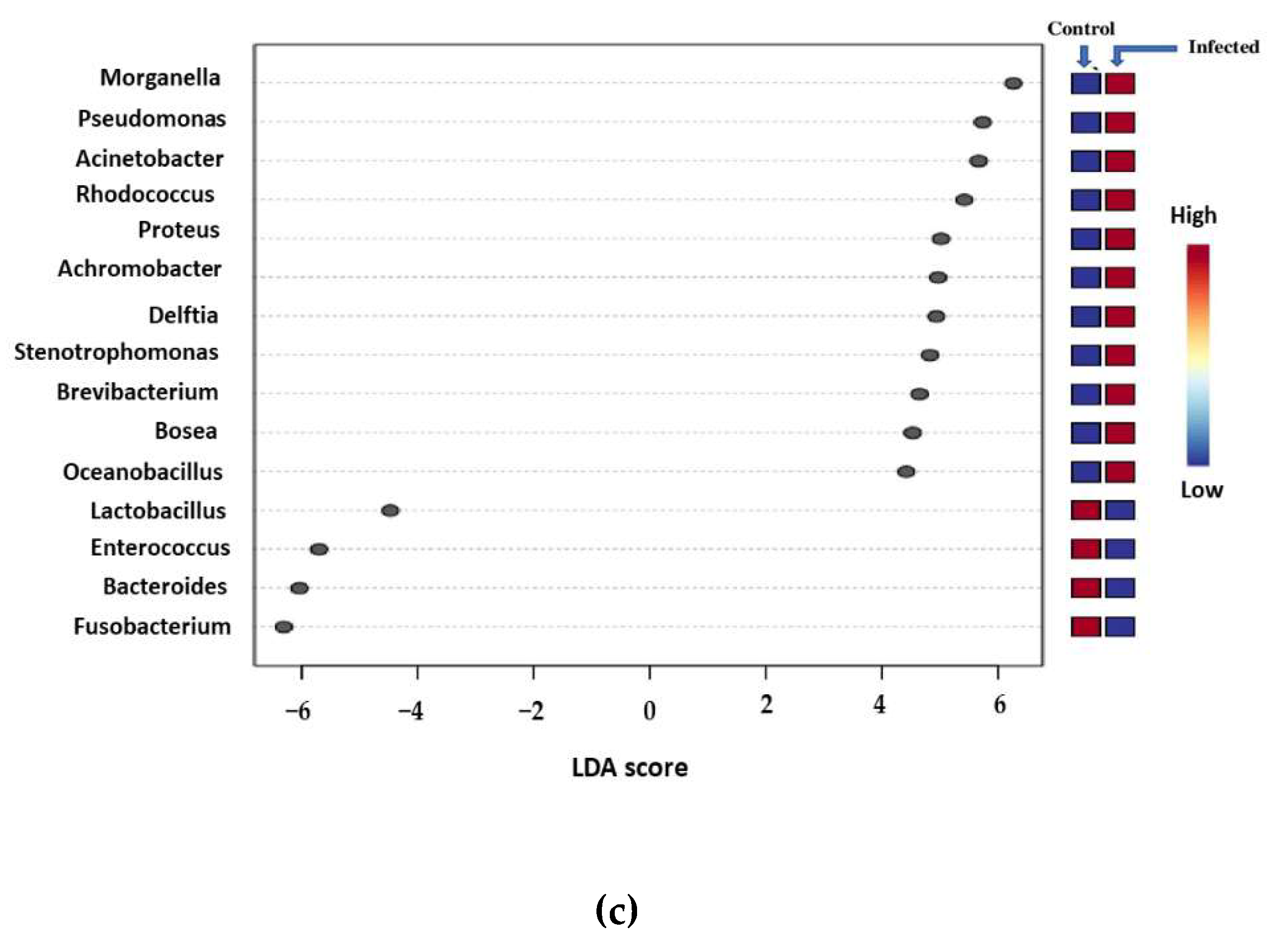 Microorganisms 10 02328 g004b