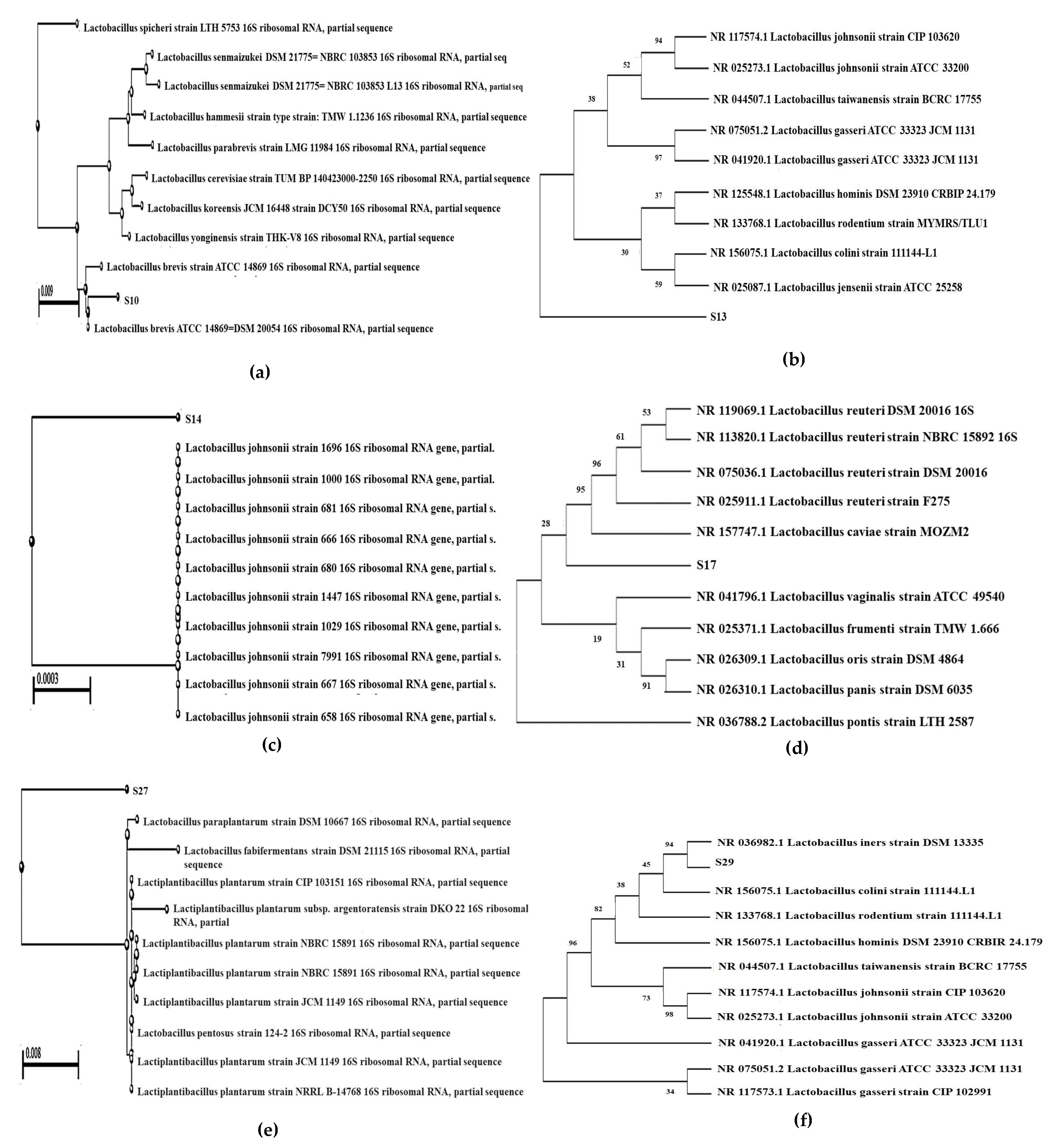 Microorganisms 10 02328 g008