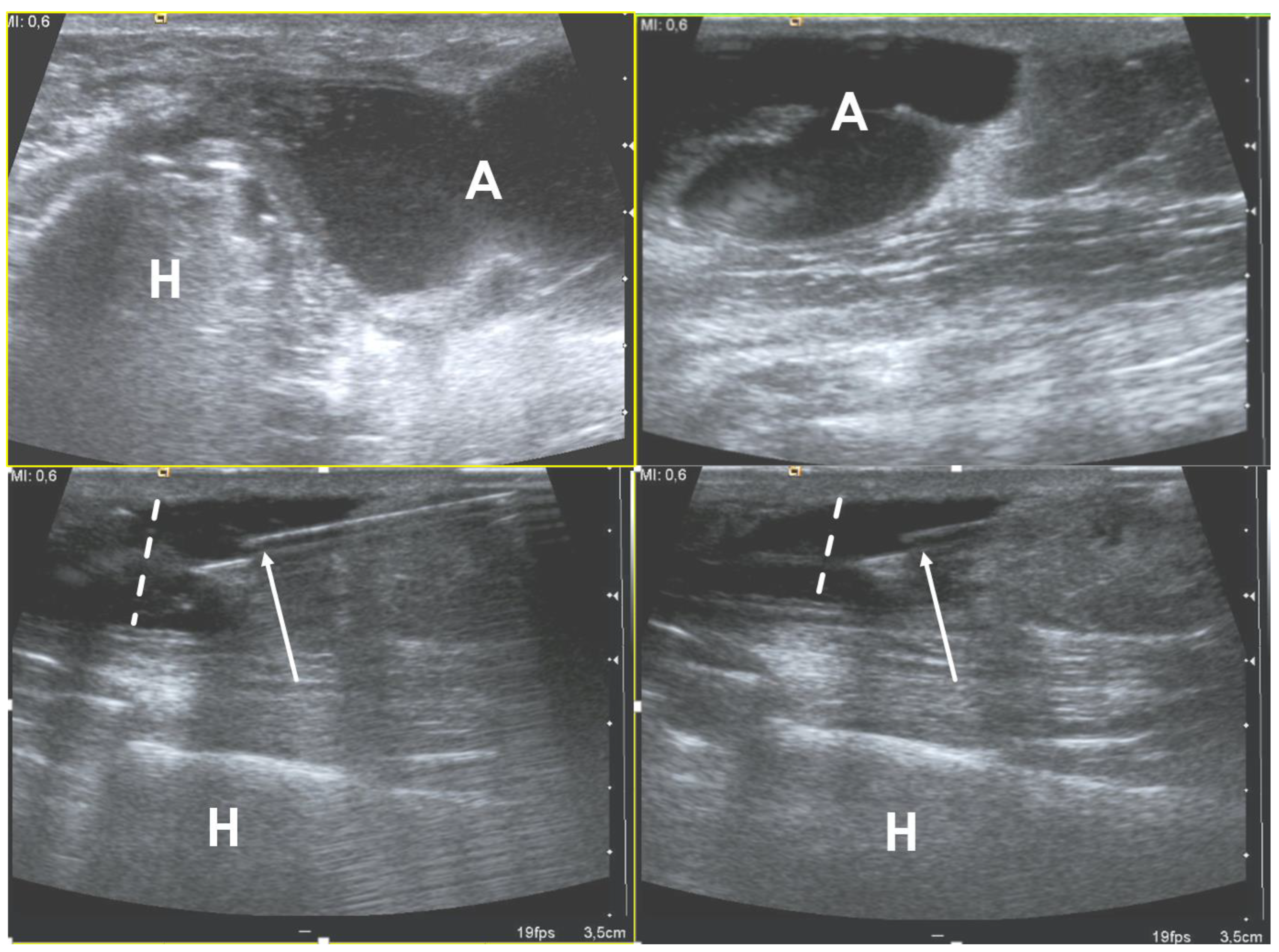 Microorganisms 10 02329 g002