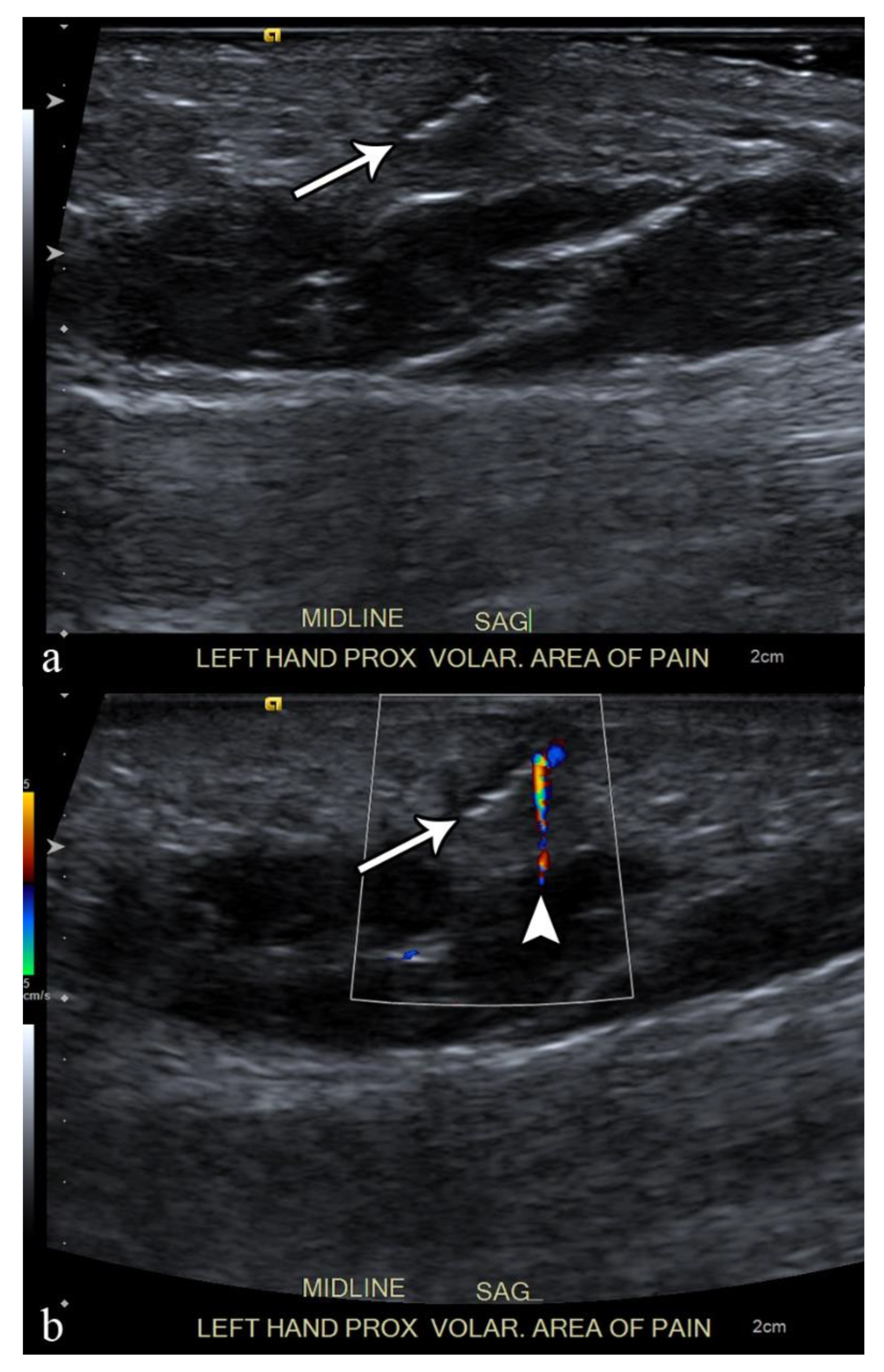 Microorganisms 10 02329 g003