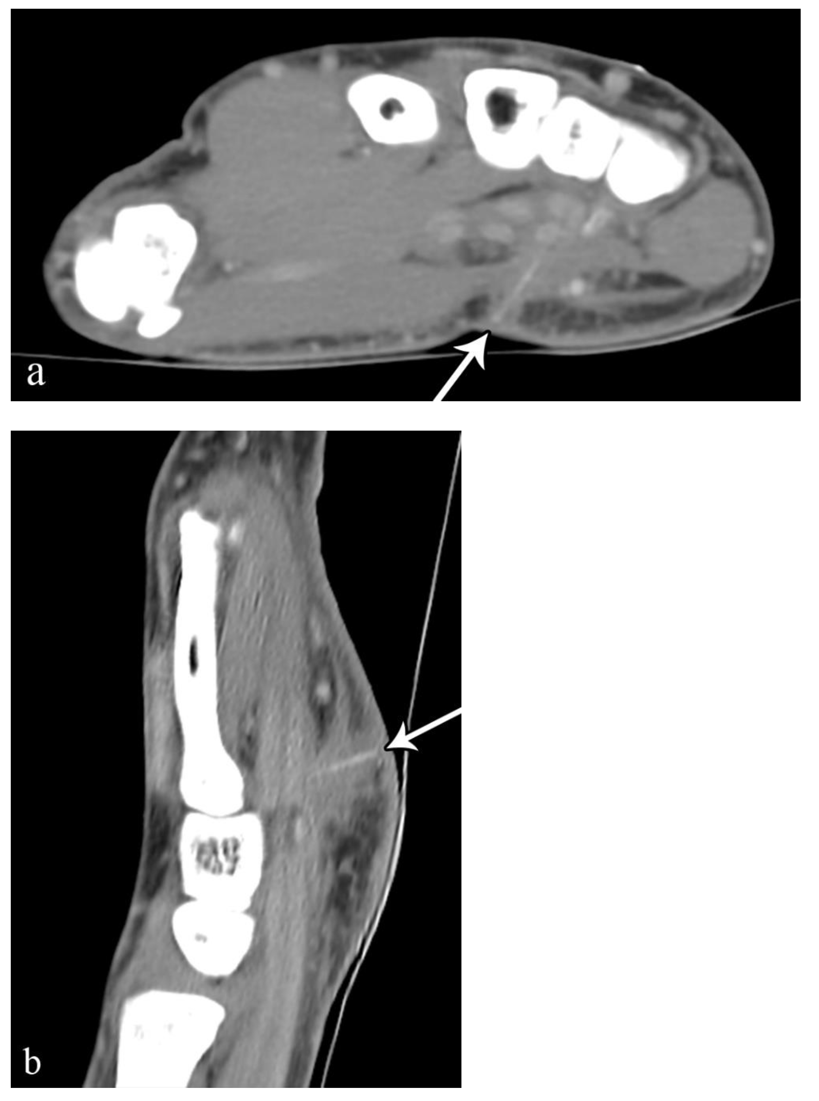 Microorganisms 10 02329 g004