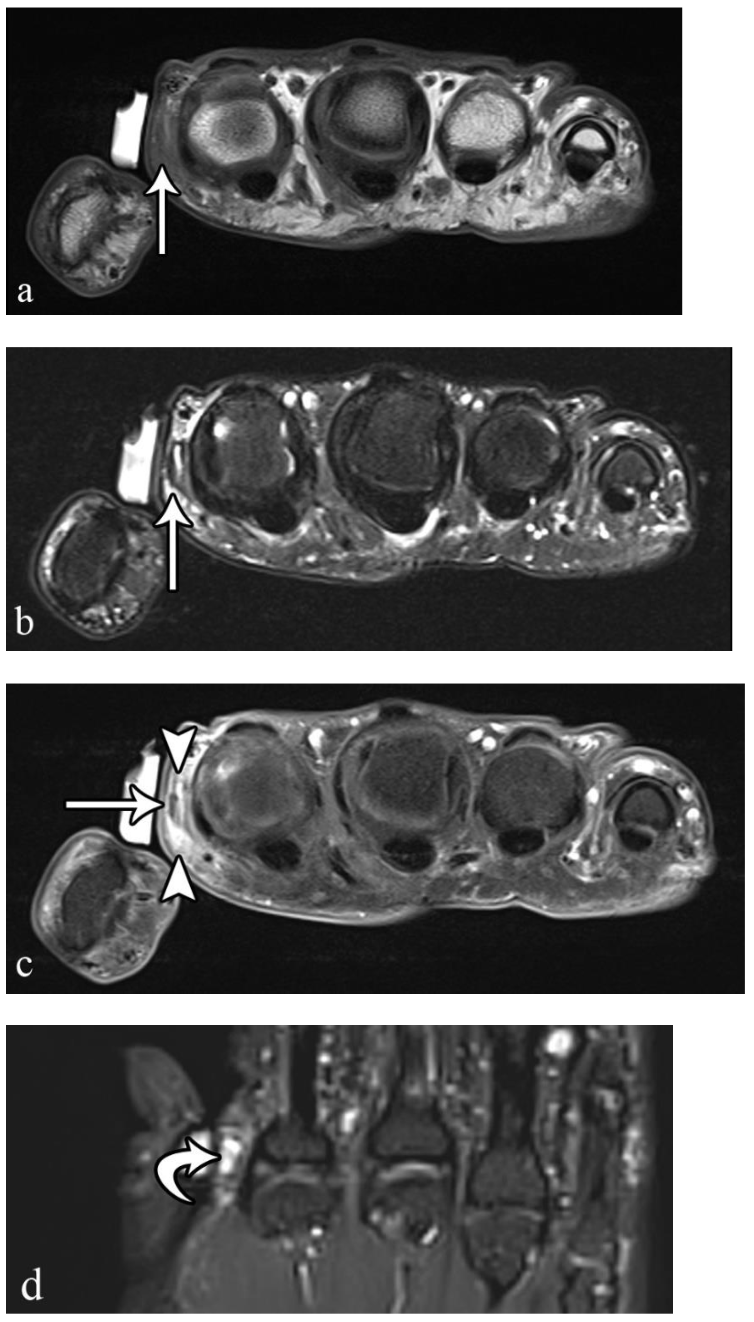 Microorganisms 10 02329 g005