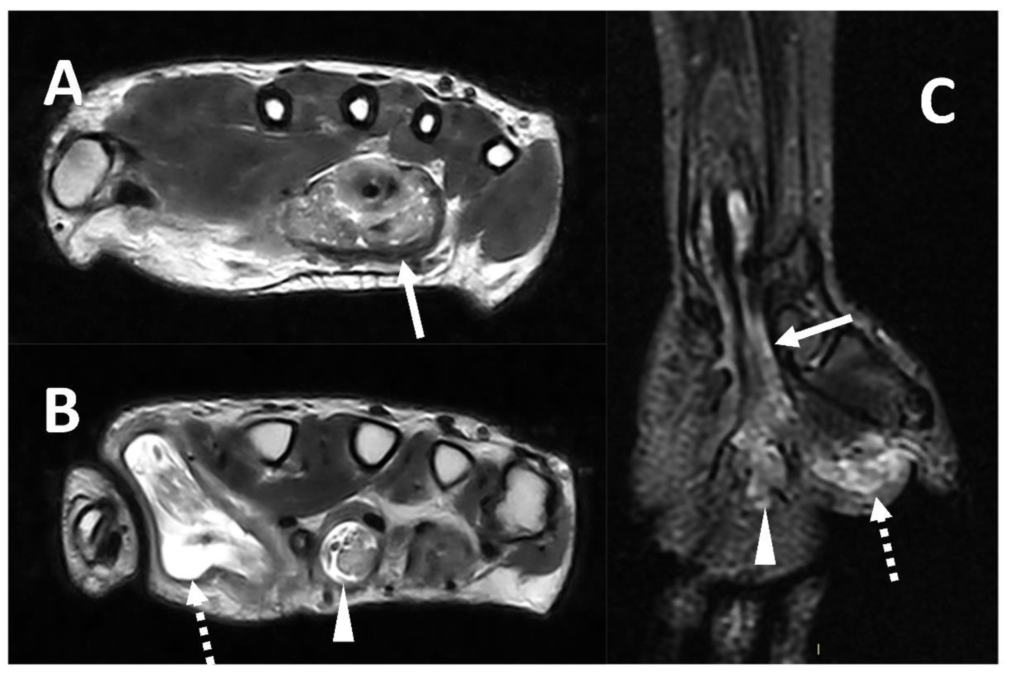 Microorganisms 10 02329 g008