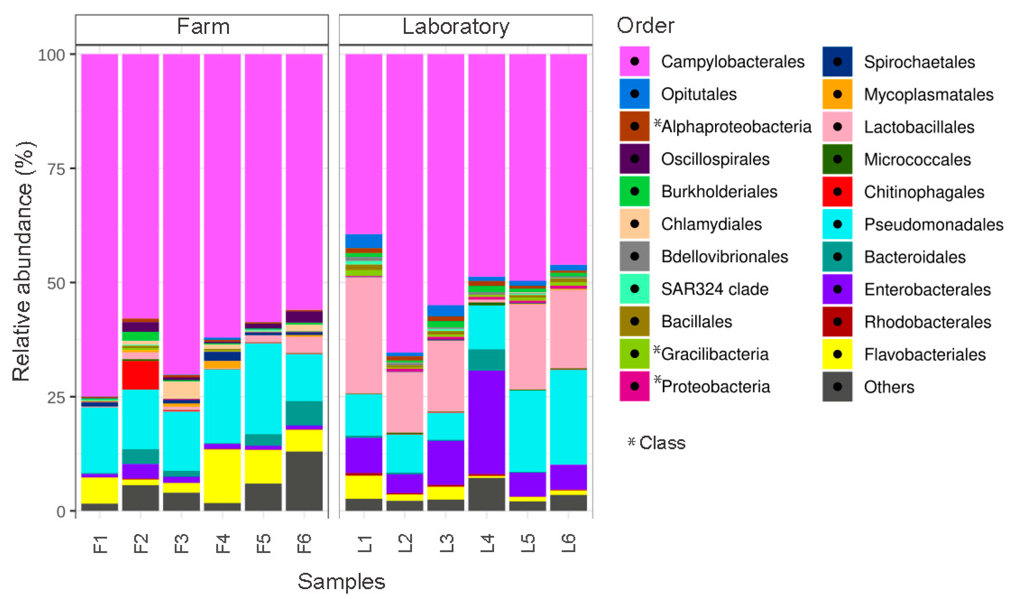 Microorganisms 10 02330 g001