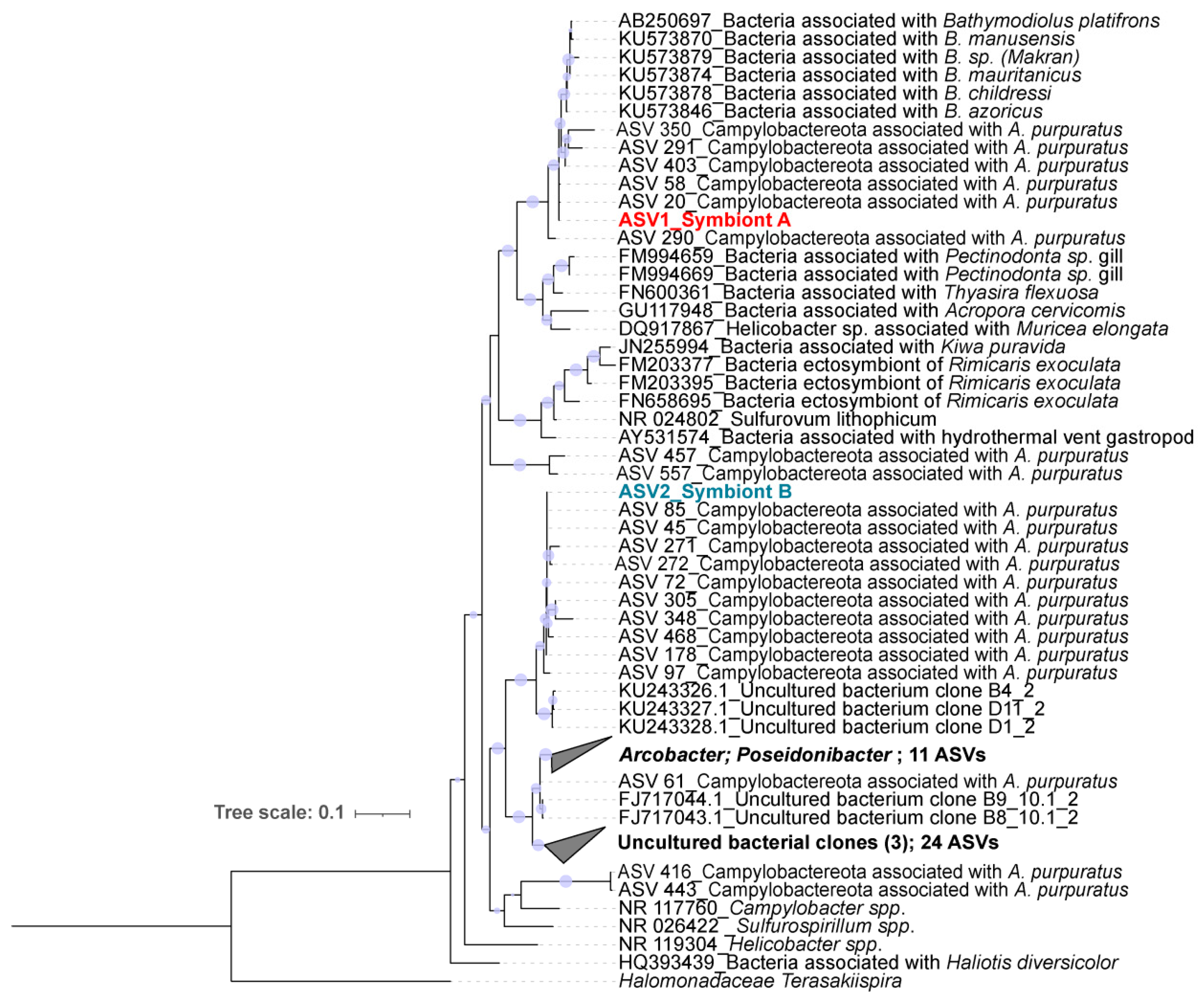 Microorganisms 10 02330 g003