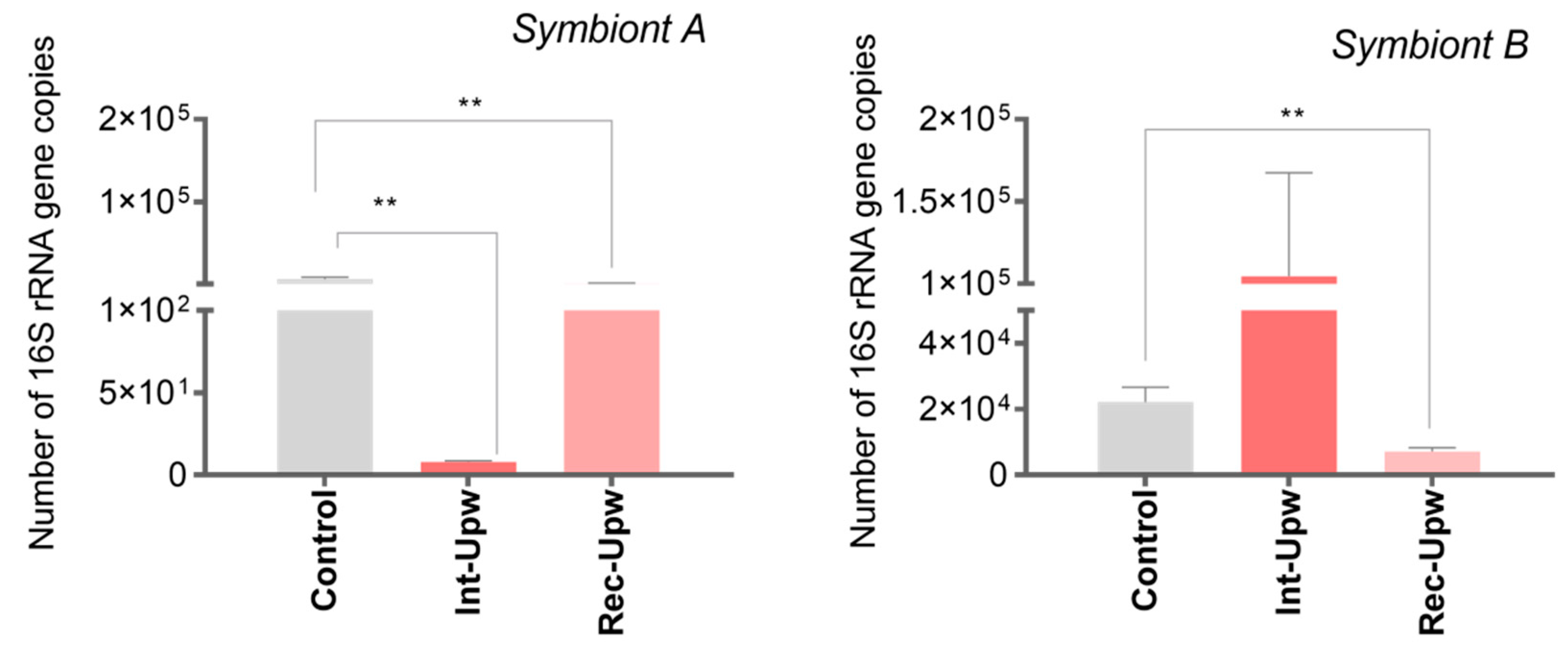 Microorganisms 10 02330 g005