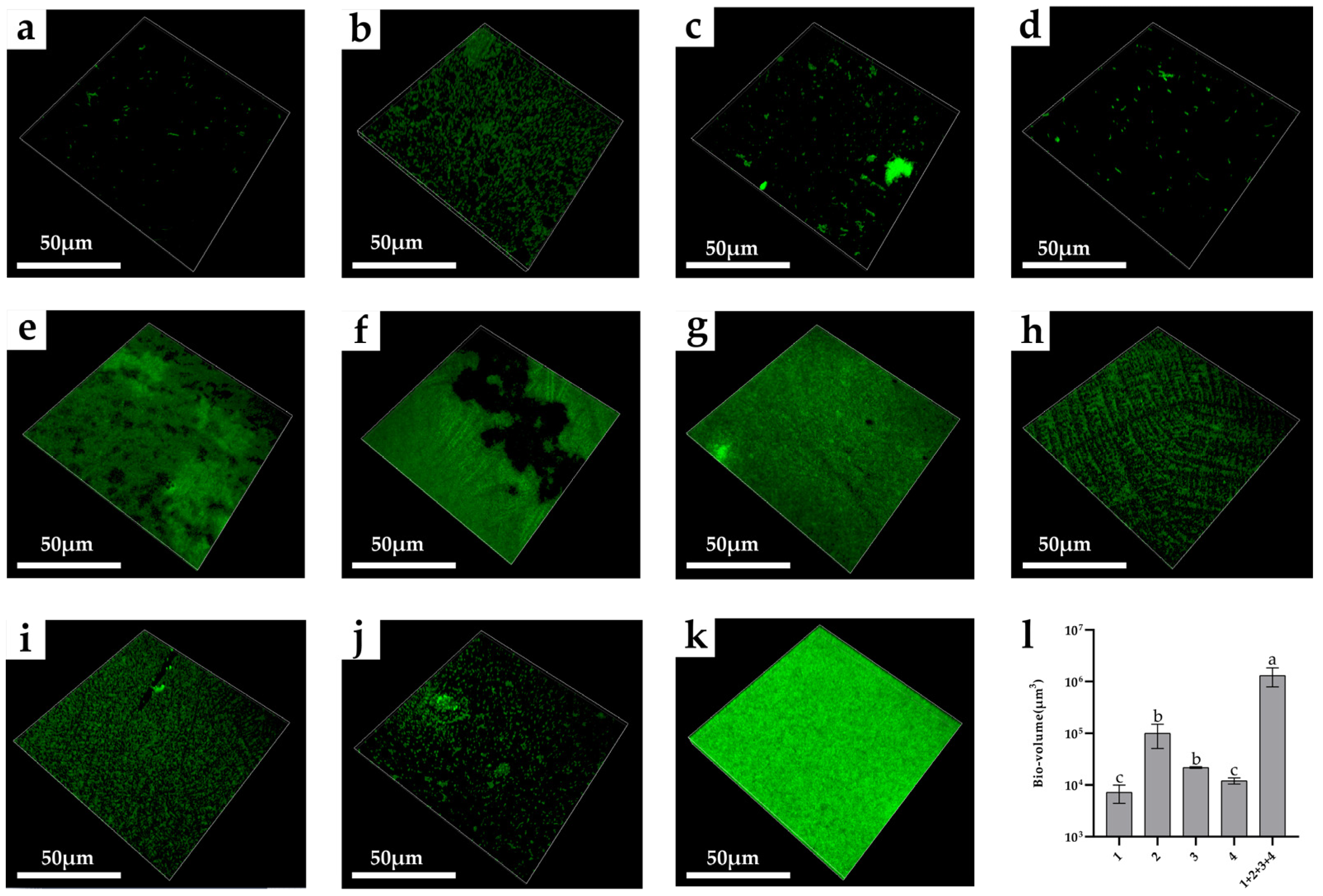 Microorganisms 10 02332 g008