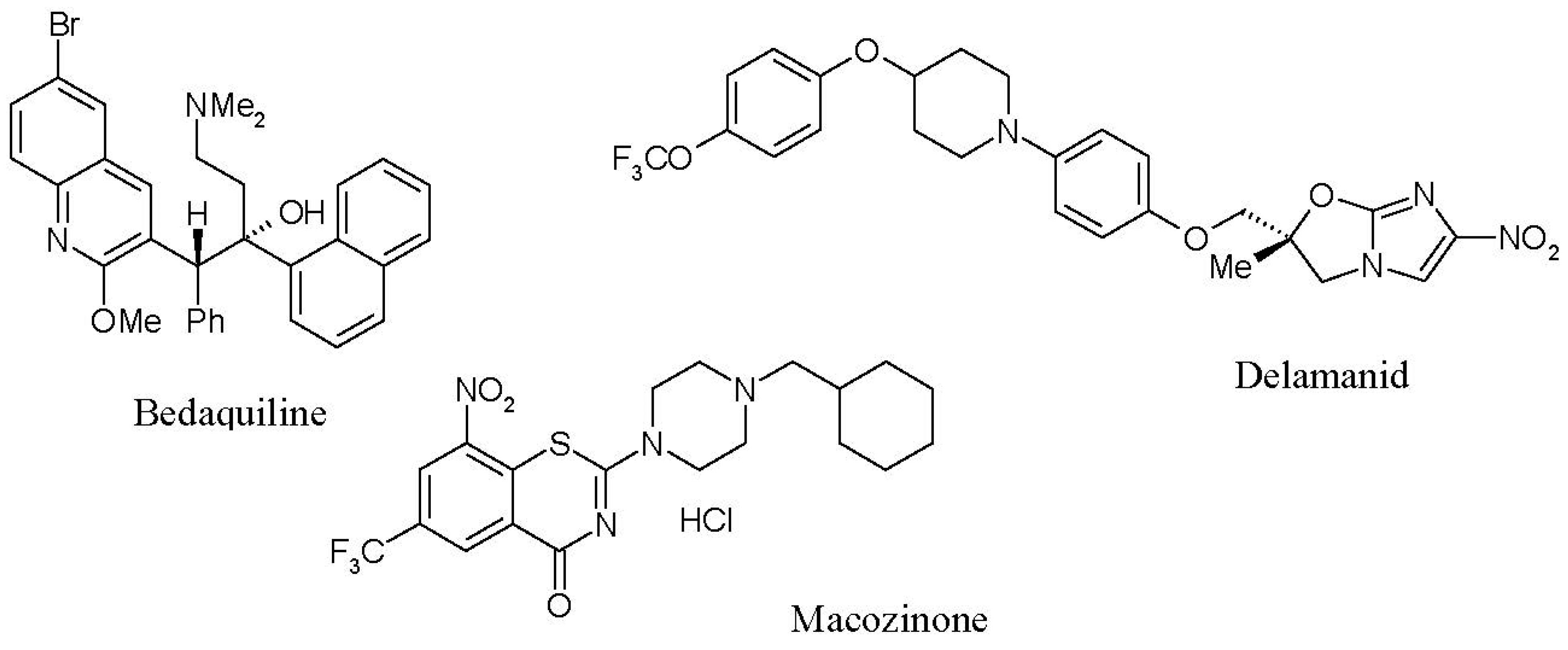 Microorganisms 10 02334 g001