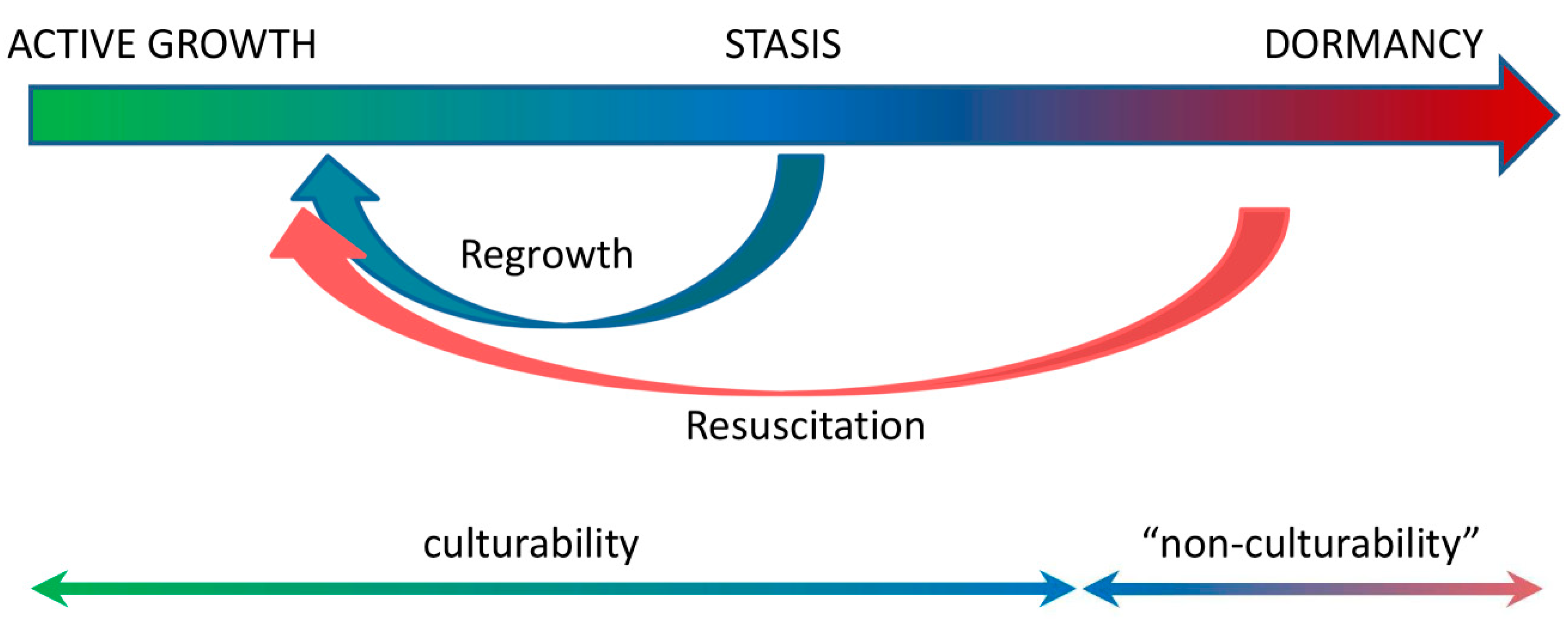 Microorganisms 10 02334 g002