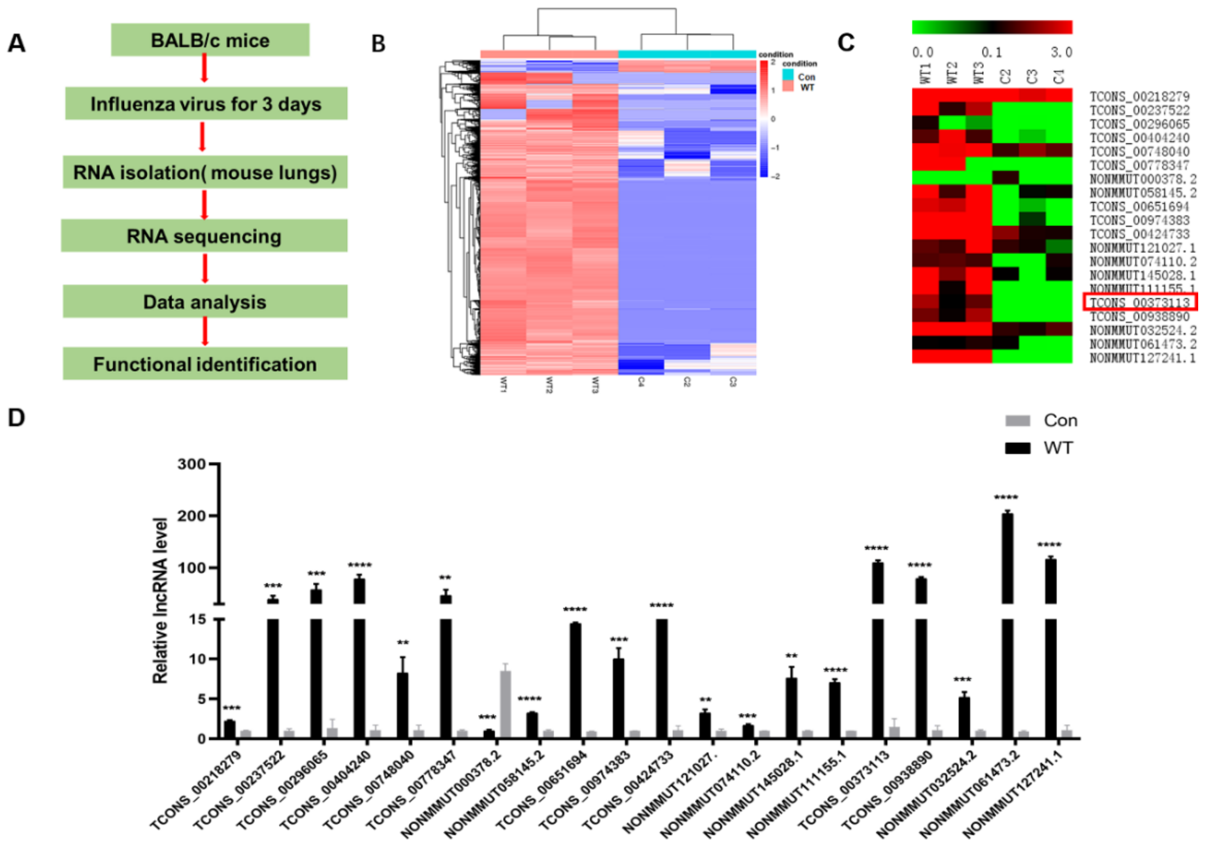 Microorganisms 10 02336 g001