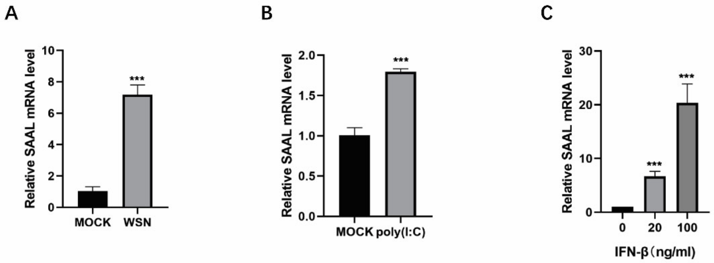 Microorganisms 10 02336 g003