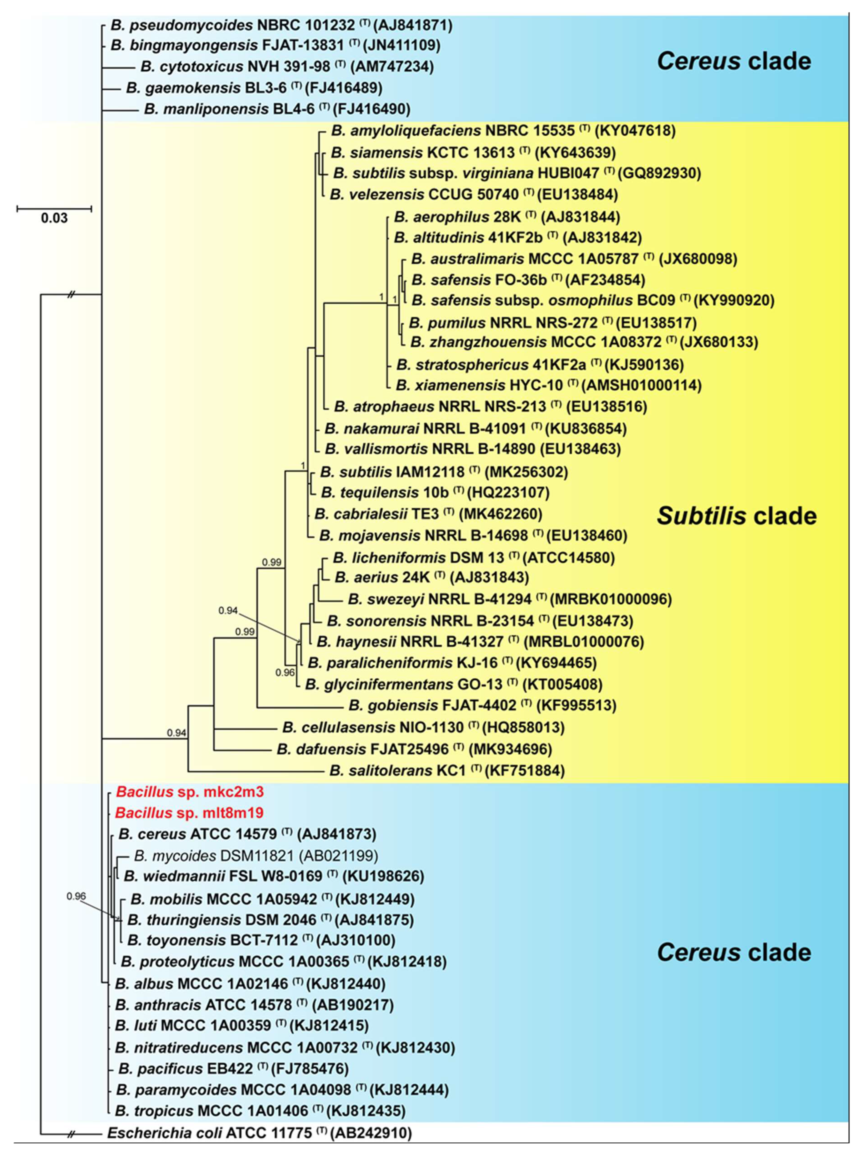 Microorganisms 10 02341 g004