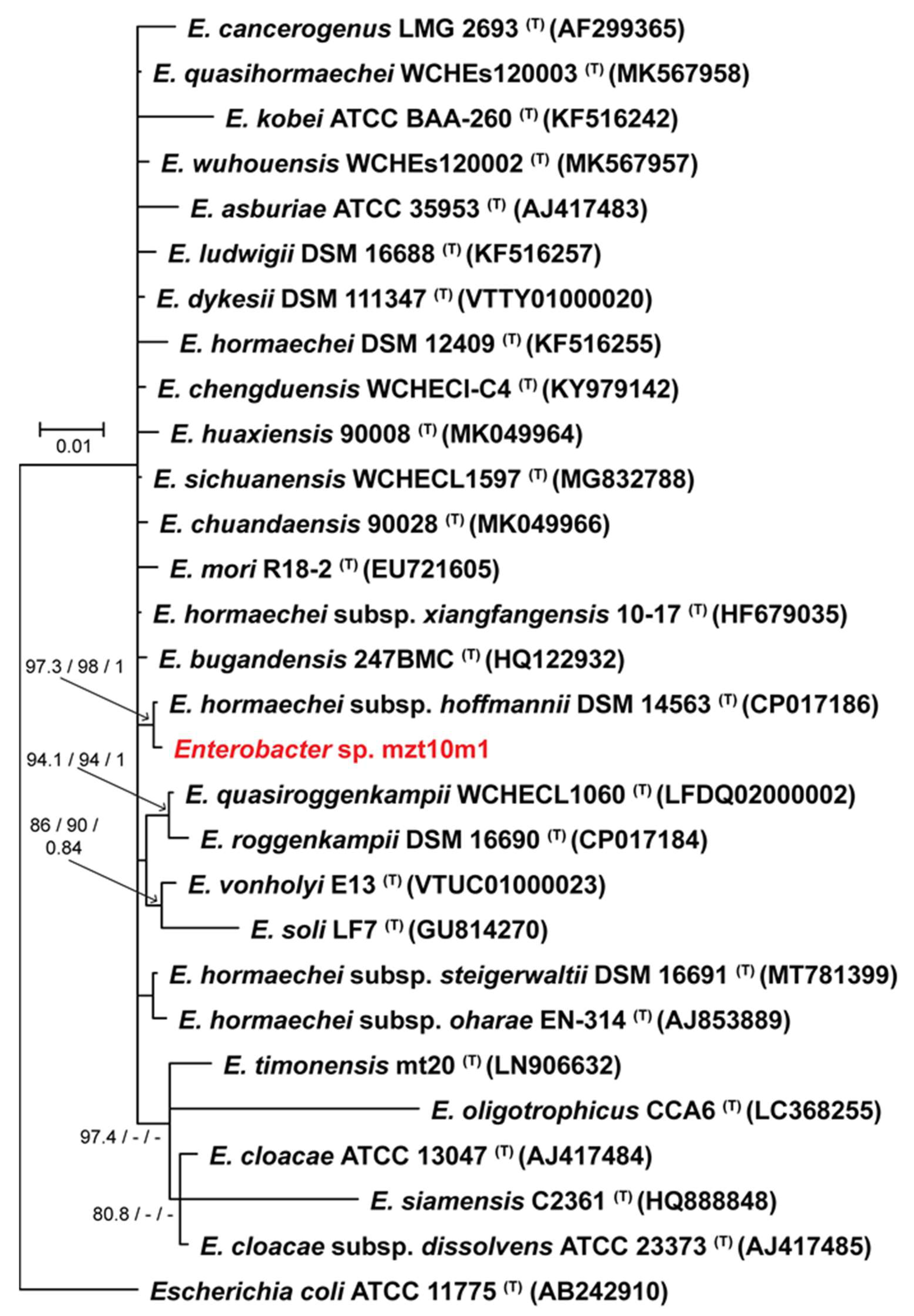 Microorganisms 10 02341 g005