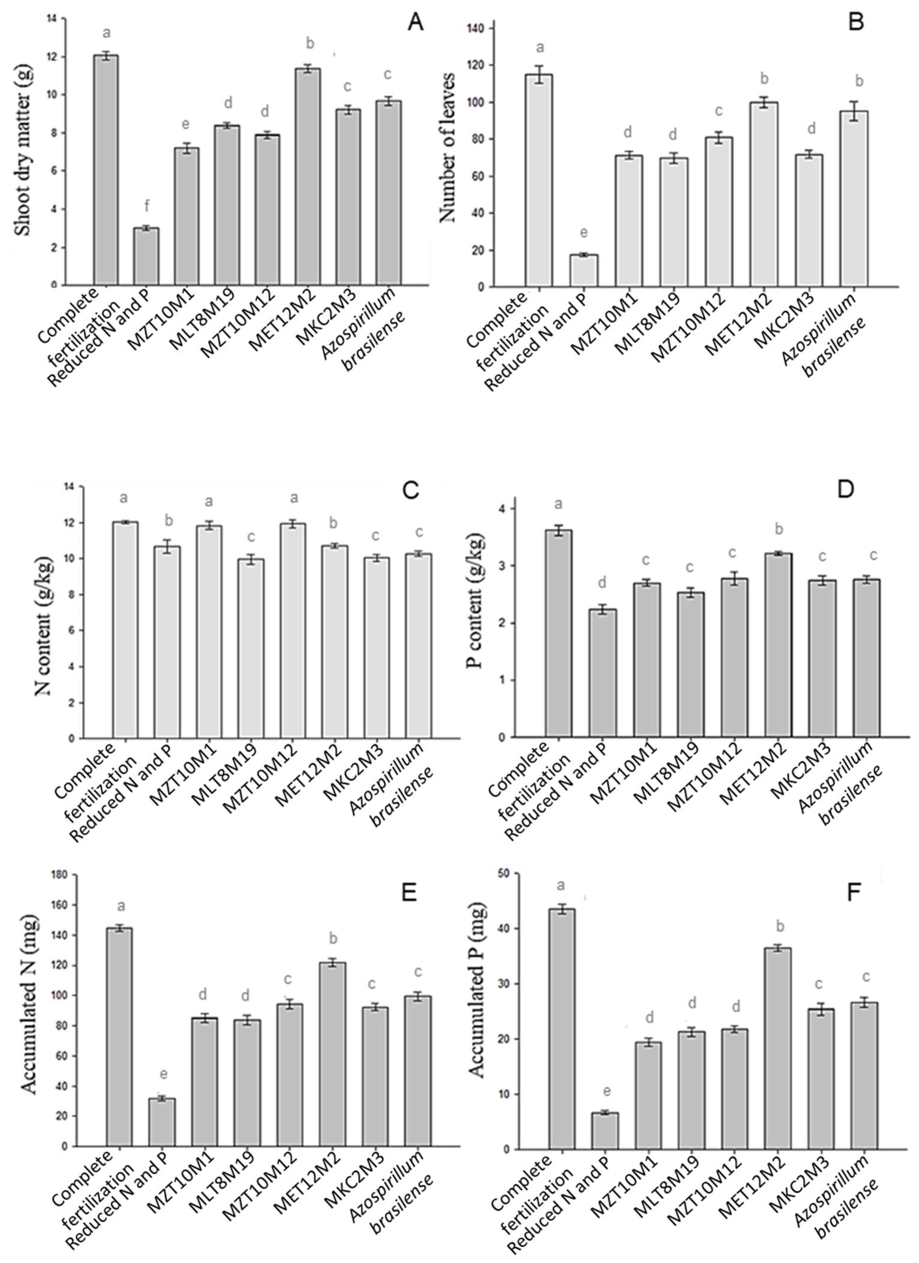 Microorganisms 10 02341 g008