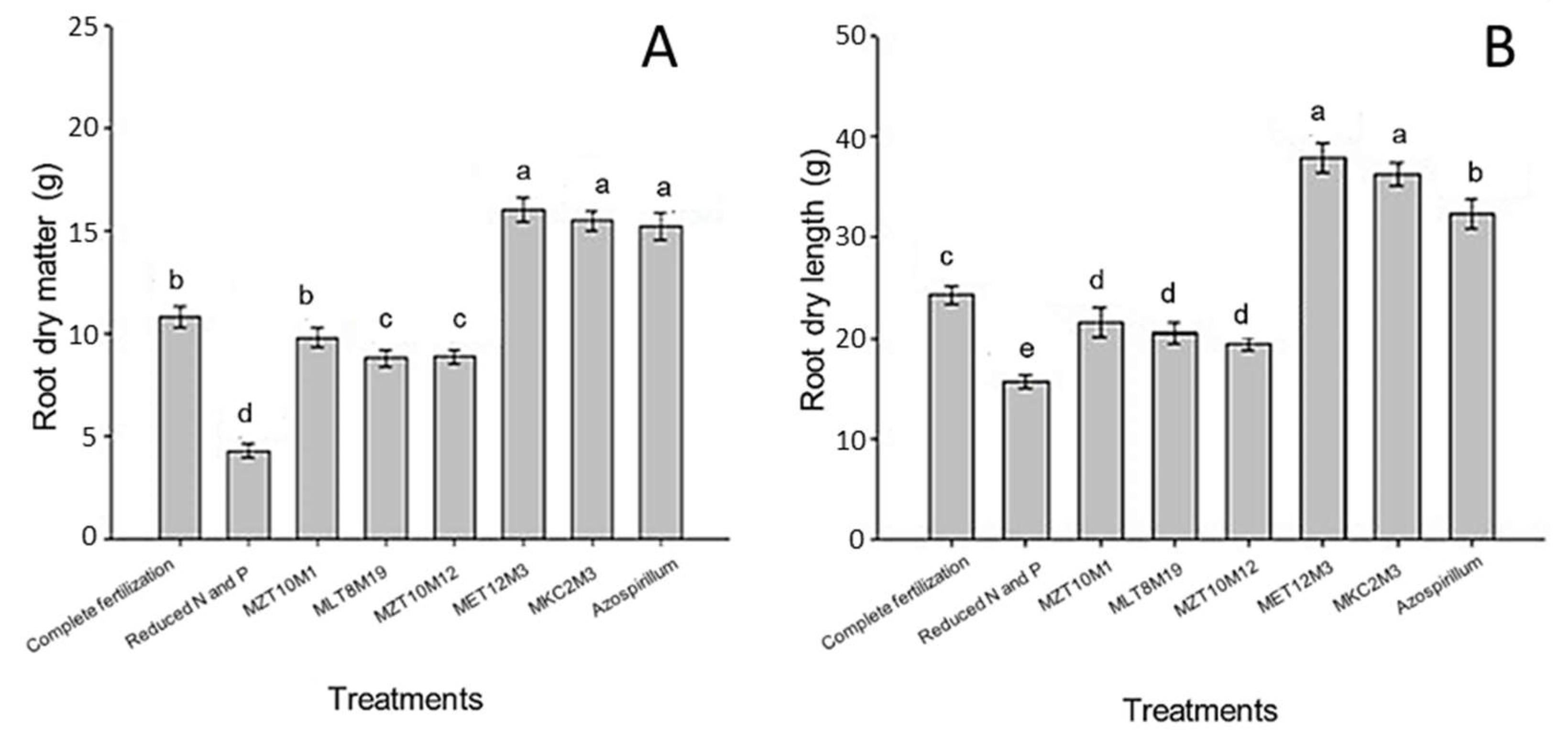 Microorganisms 10 02341 g010