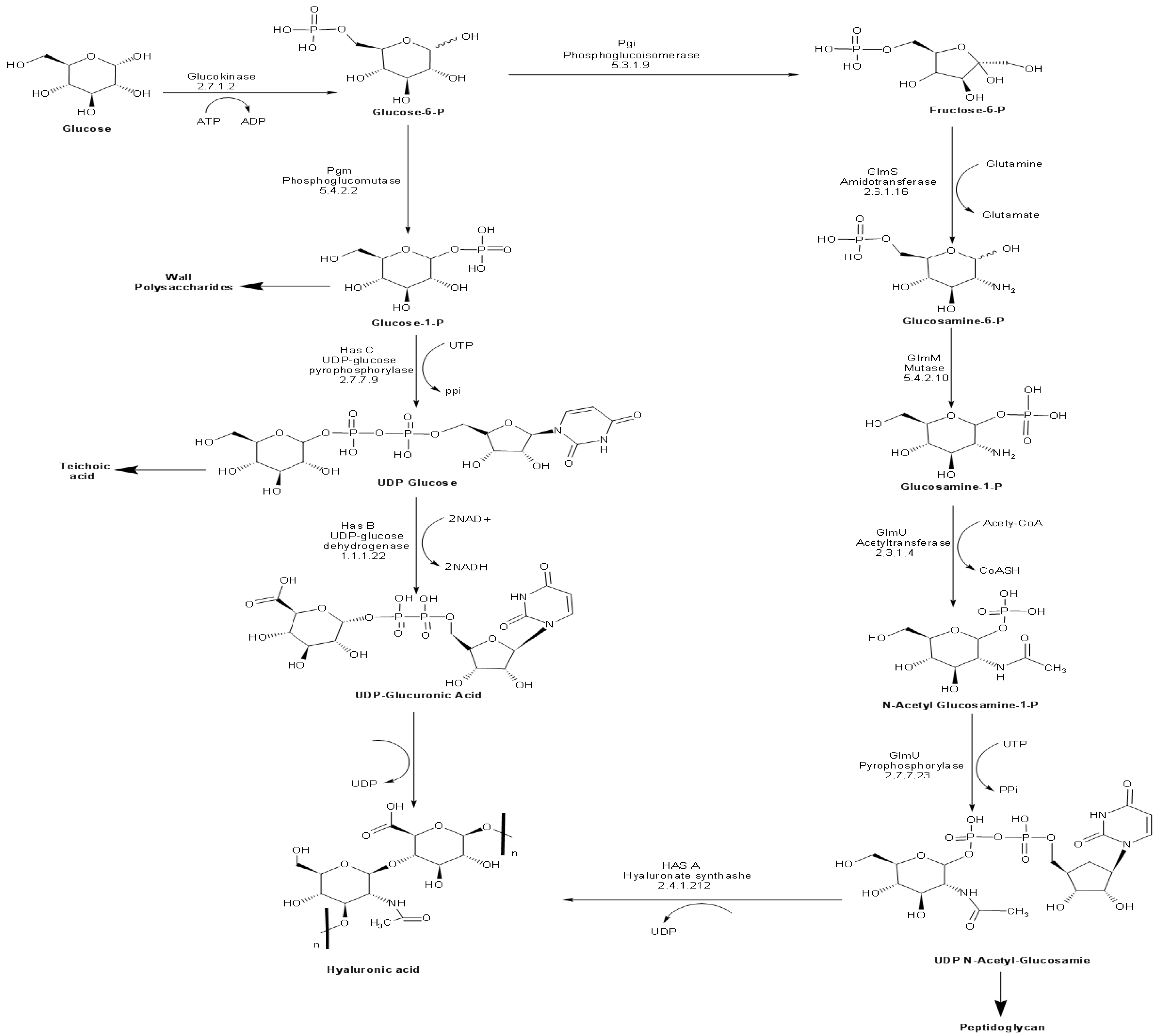 Microorganisms 10 02347 g001