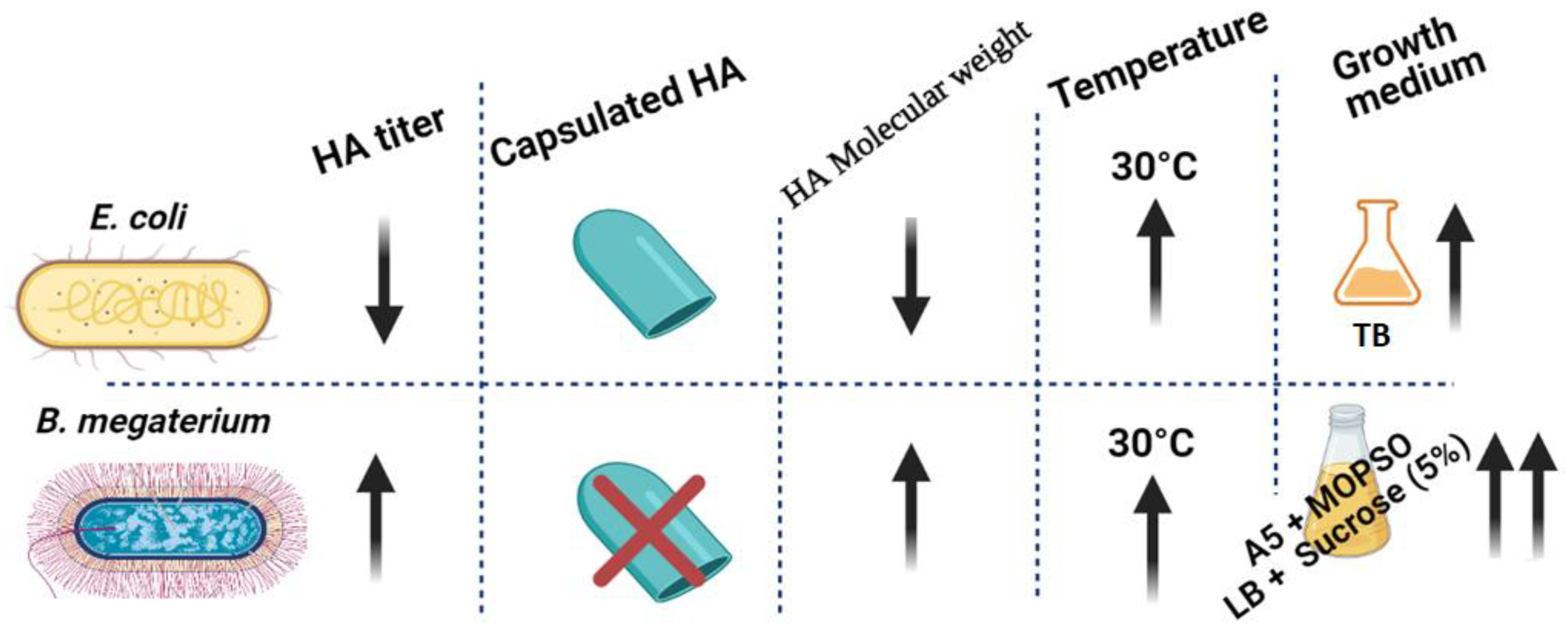 Microorganisms 10 02347 g006