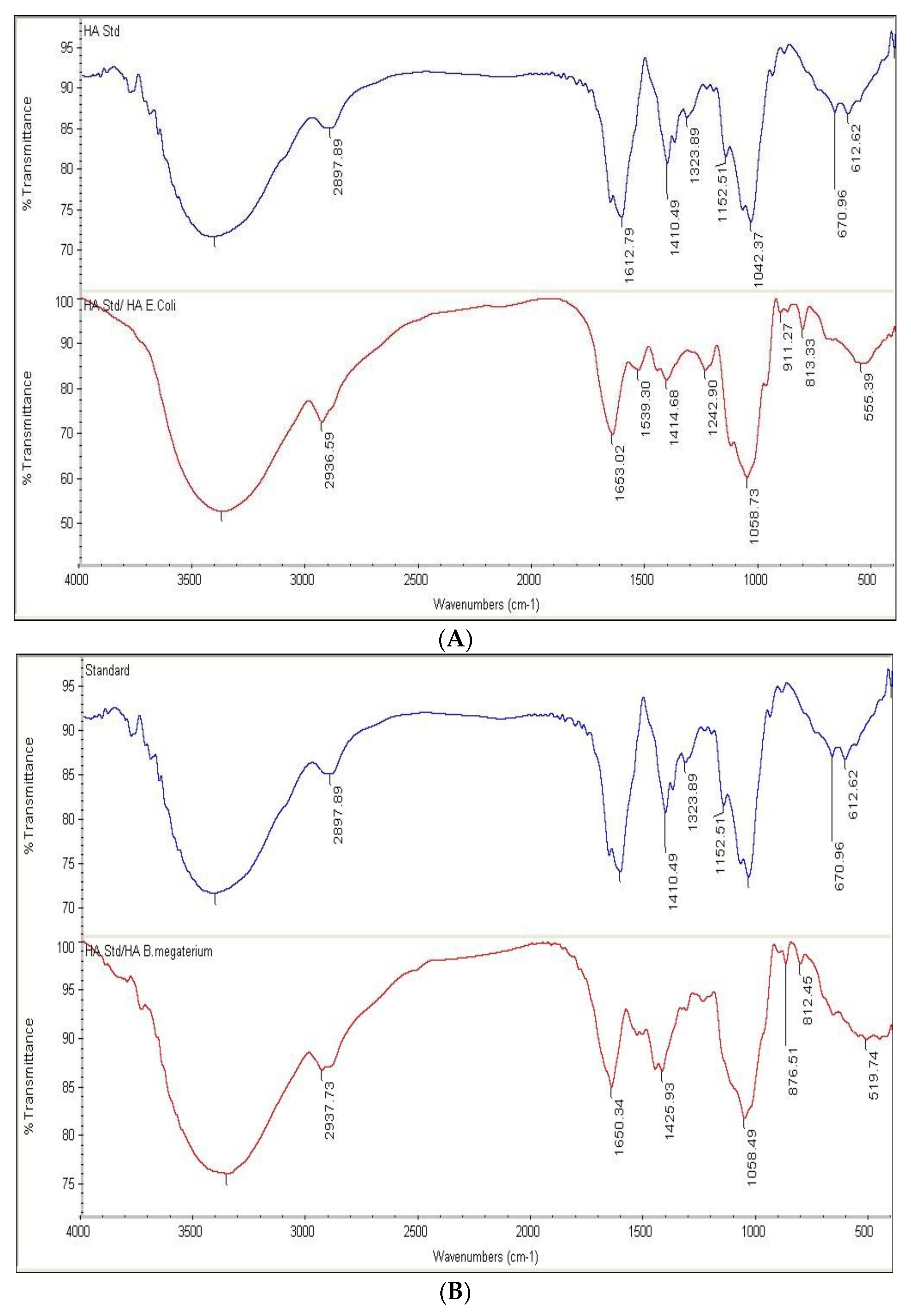 Microorganisms 10 02347 g009