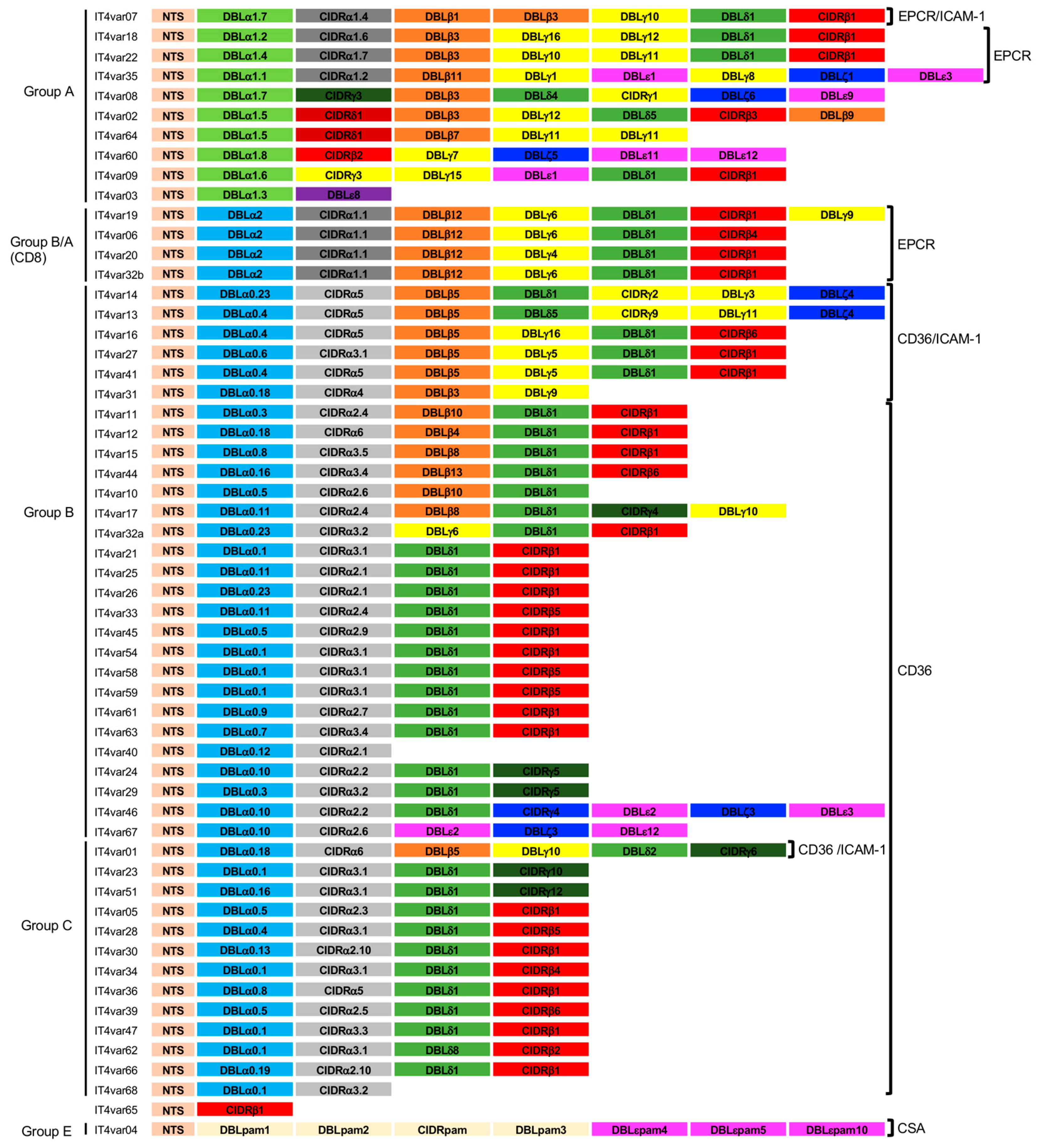 Microorganisms 10 02356 g001